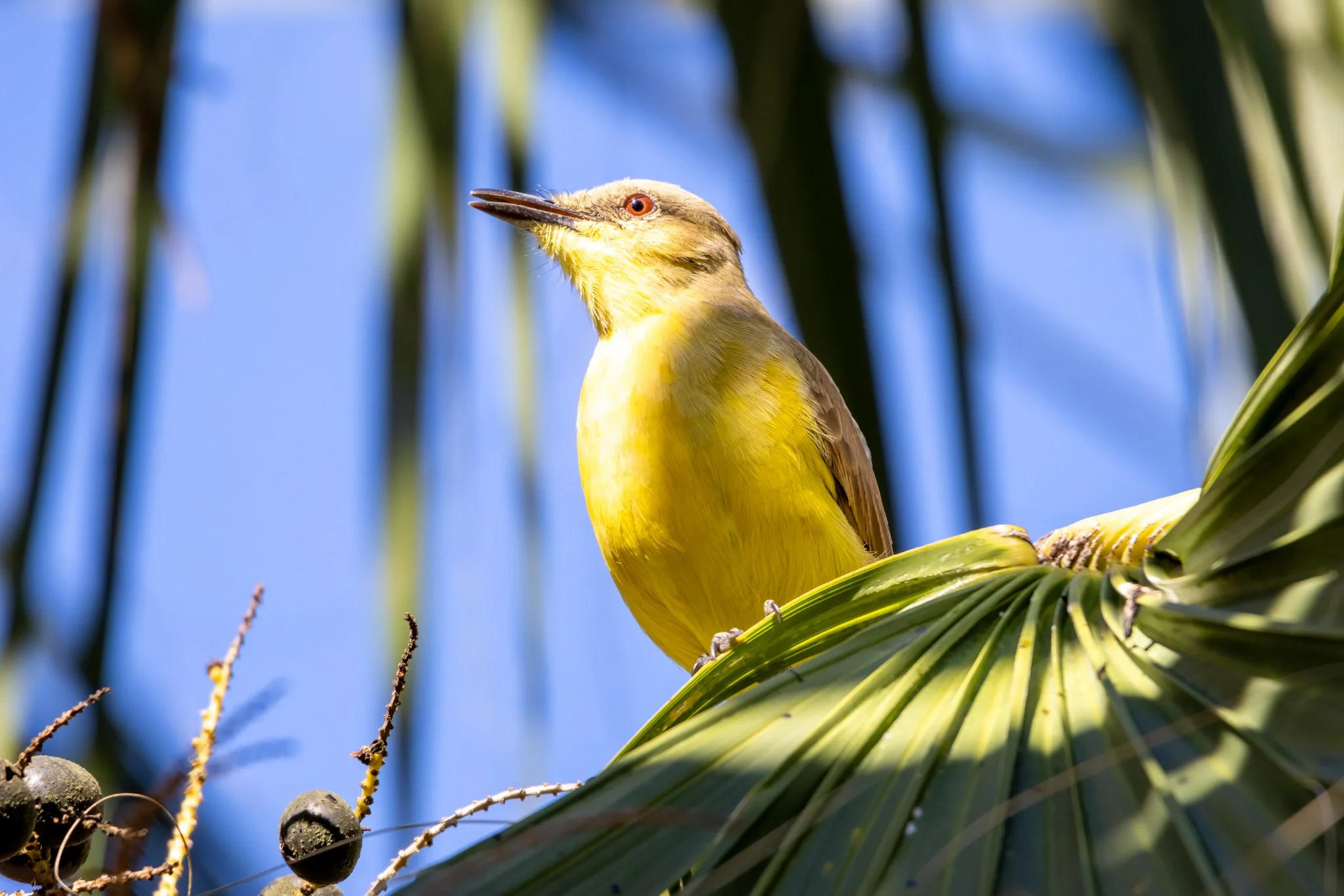 0V9A7522-Edit.jpg