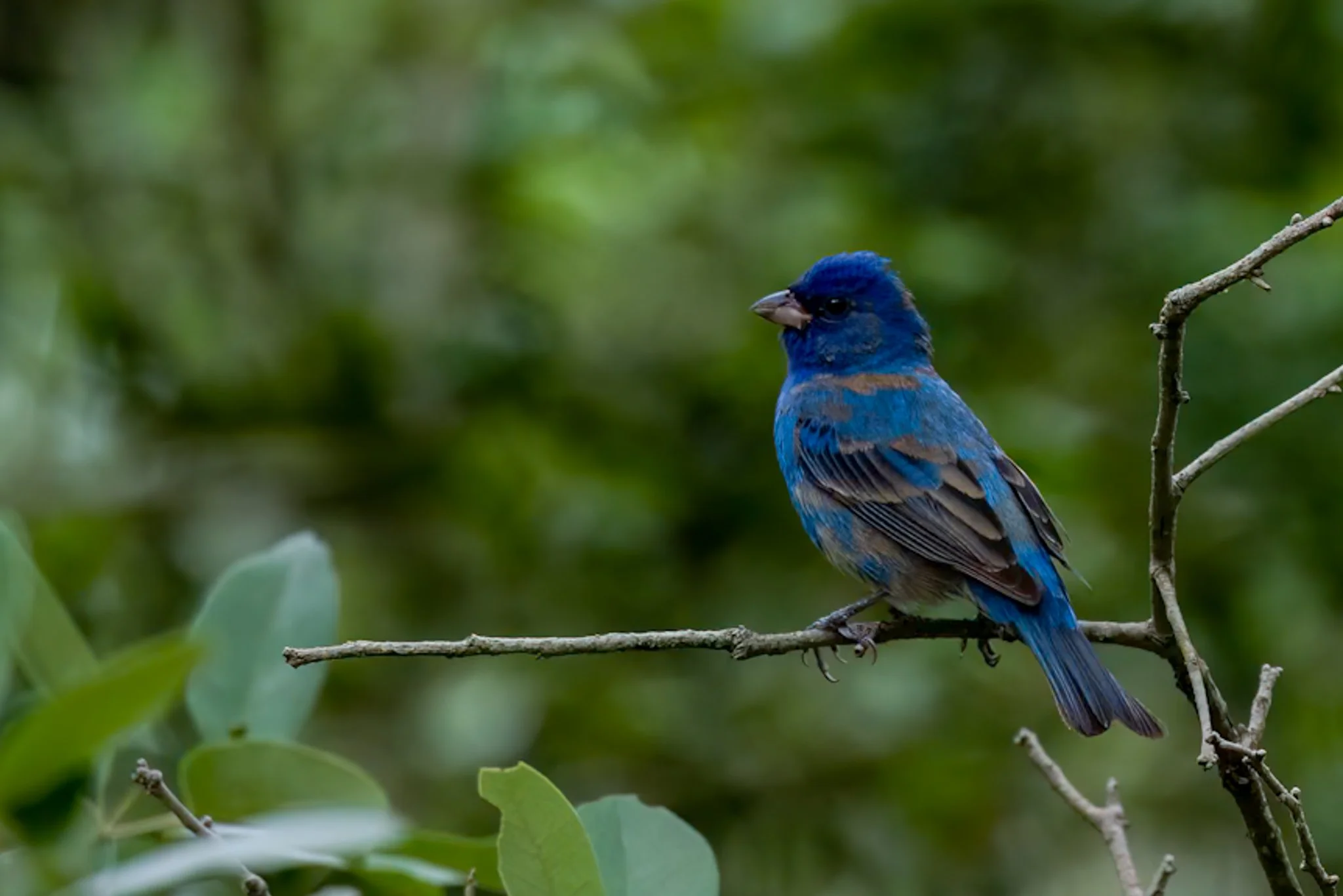 8U2A2174-Edit.jpg