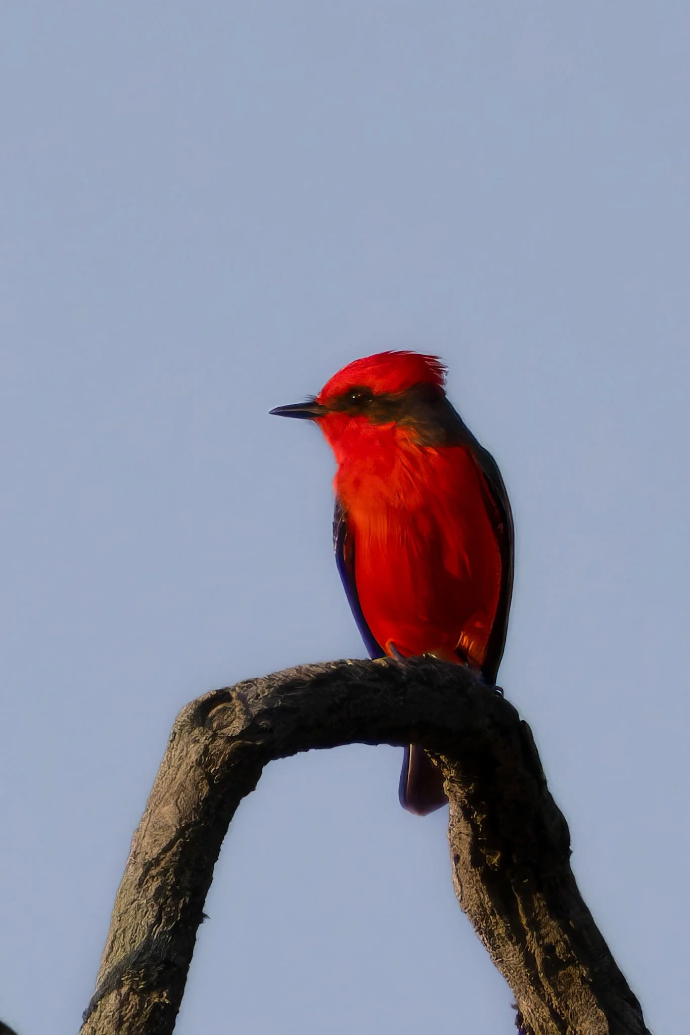 2392-0V9A8324-Enhanced-NR-Edit.jpg