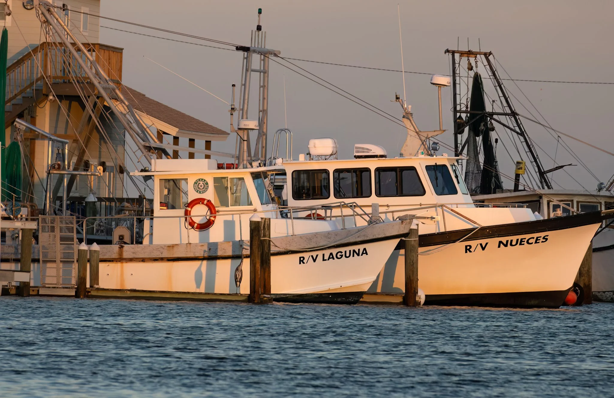 Rockport Harbor Boats