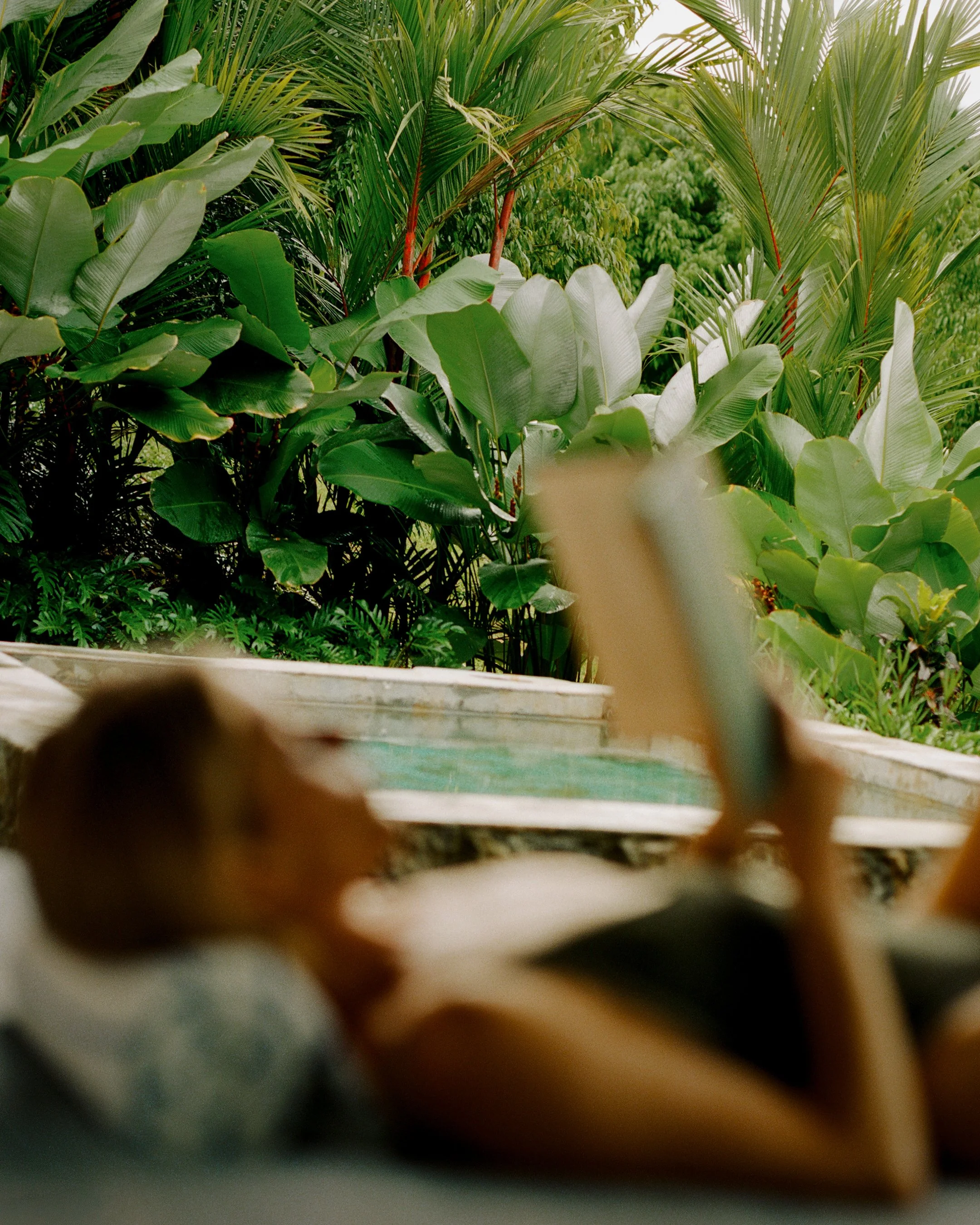 Hacienda AltaGracia_Marty Schnurr542.jpg