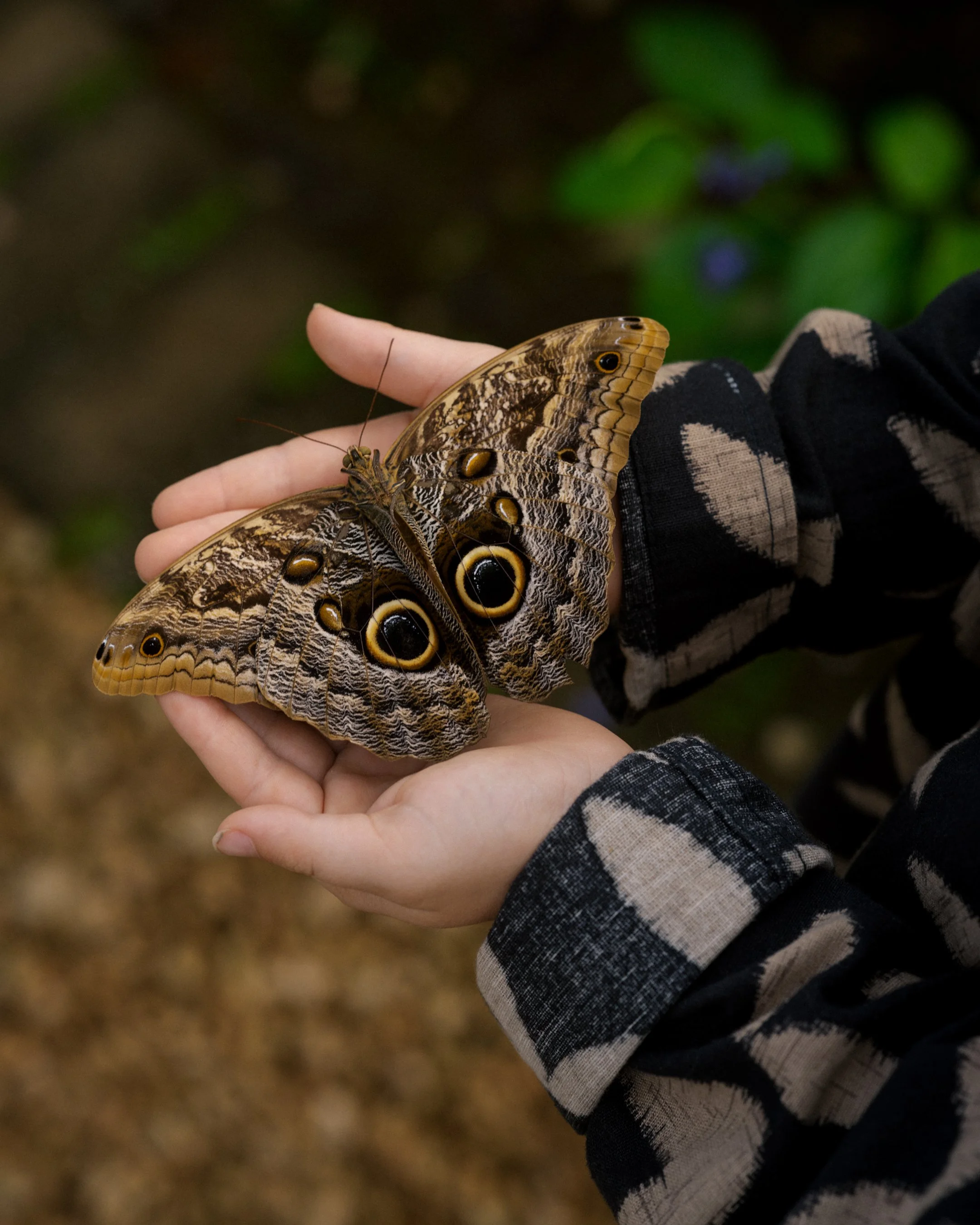 Hacienda AltaGracia_Marty Schnurr314.jpg