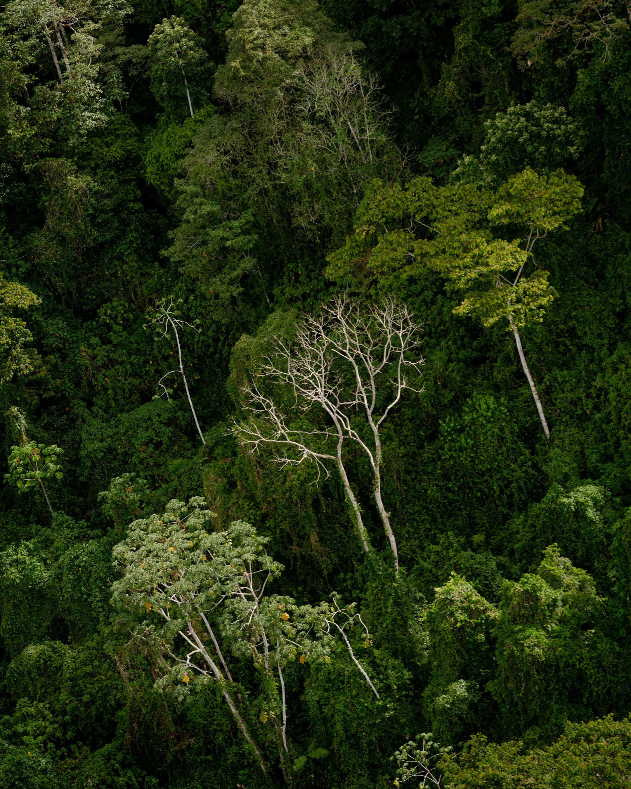 Hacienda AltaGracia_Marty Schnurr743.jpg