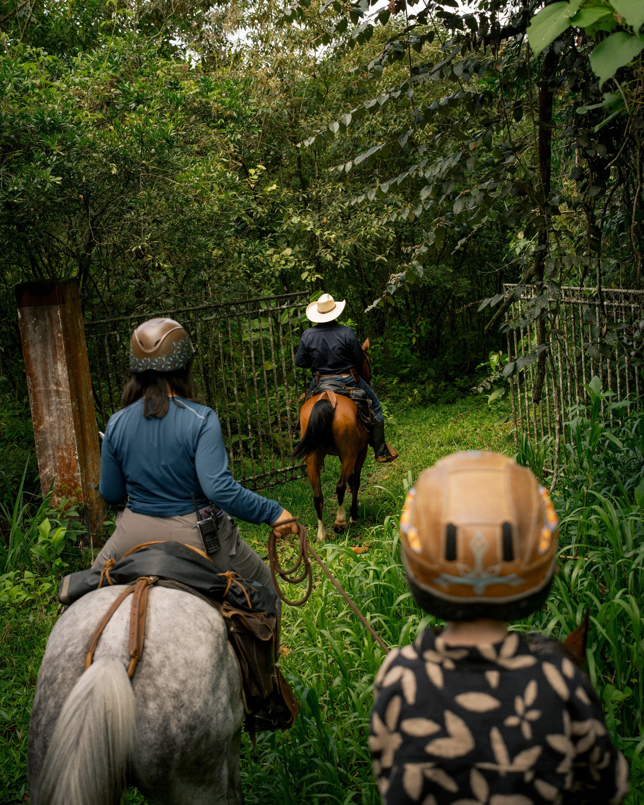 Hacienda AltaGracia_Marty Schnurr844.jpg
