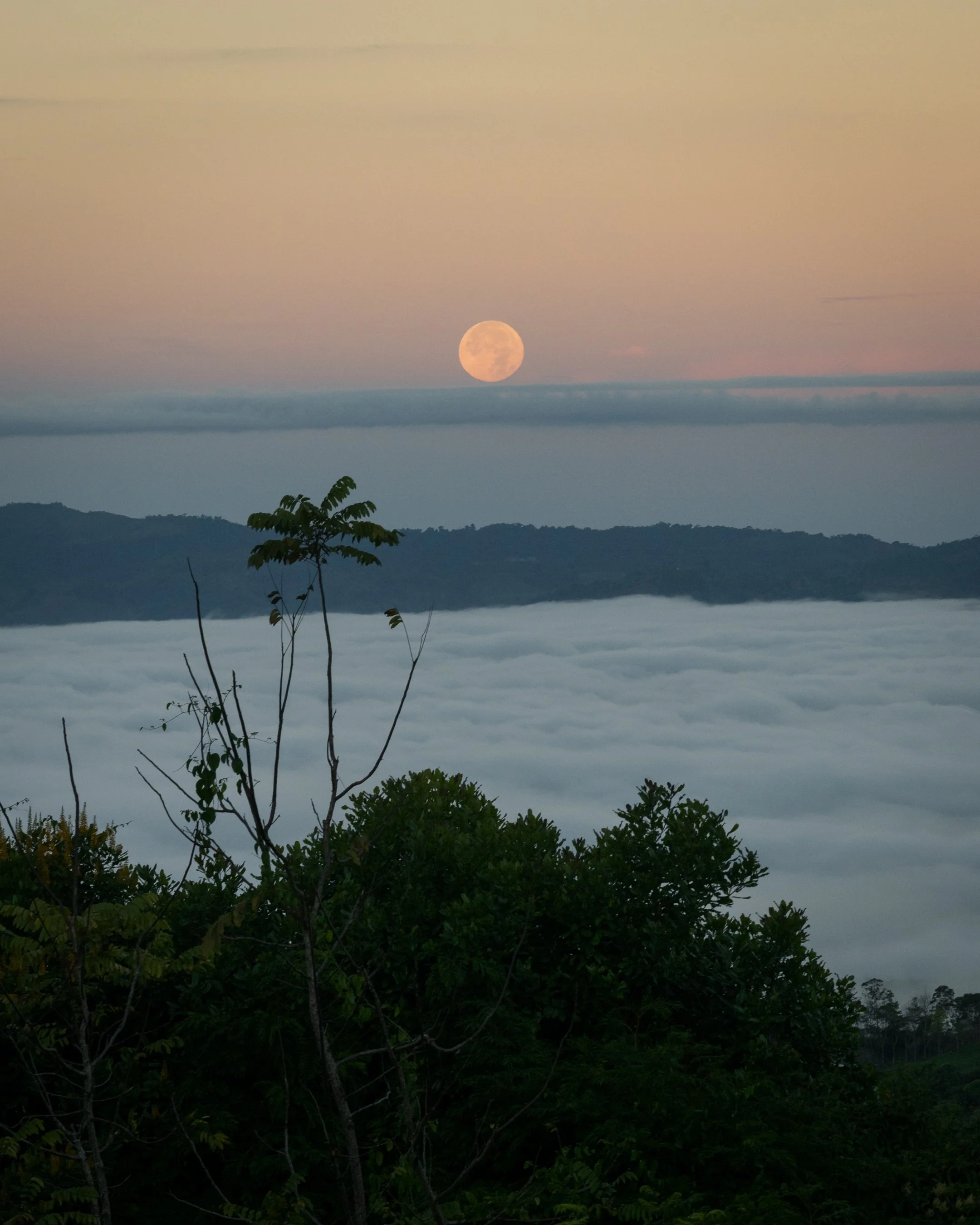 Hacienda AltaGracia_Marty Schnurr406.jpg
