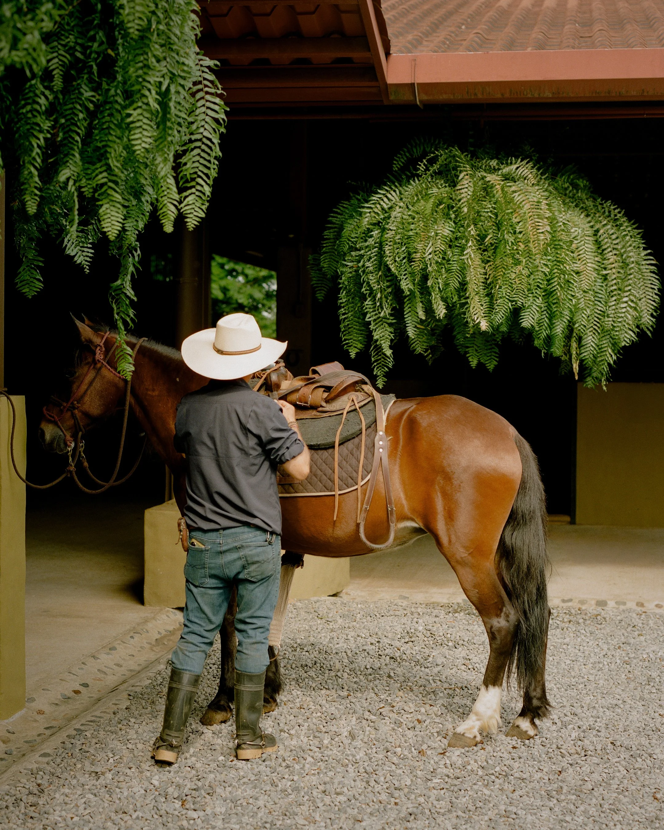 Hacienda AltaGracia_Marty Schnurr543.jpg