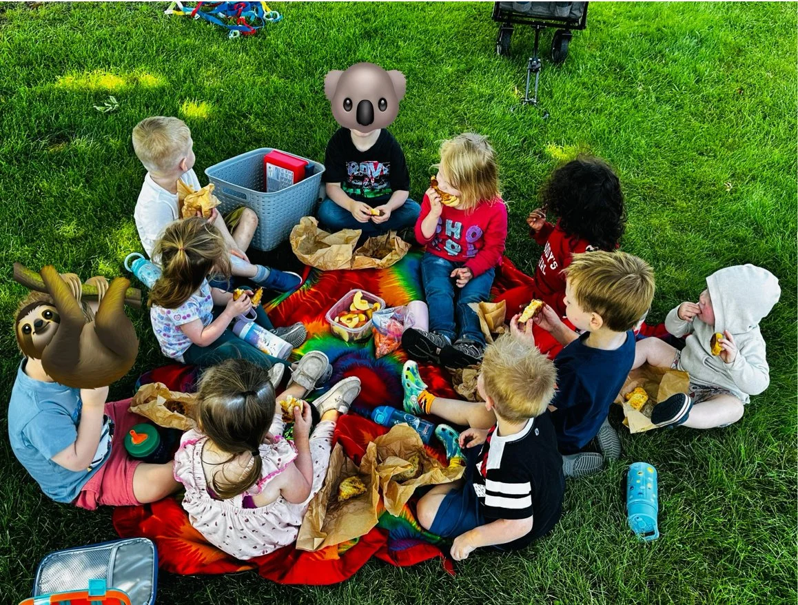 Picnic