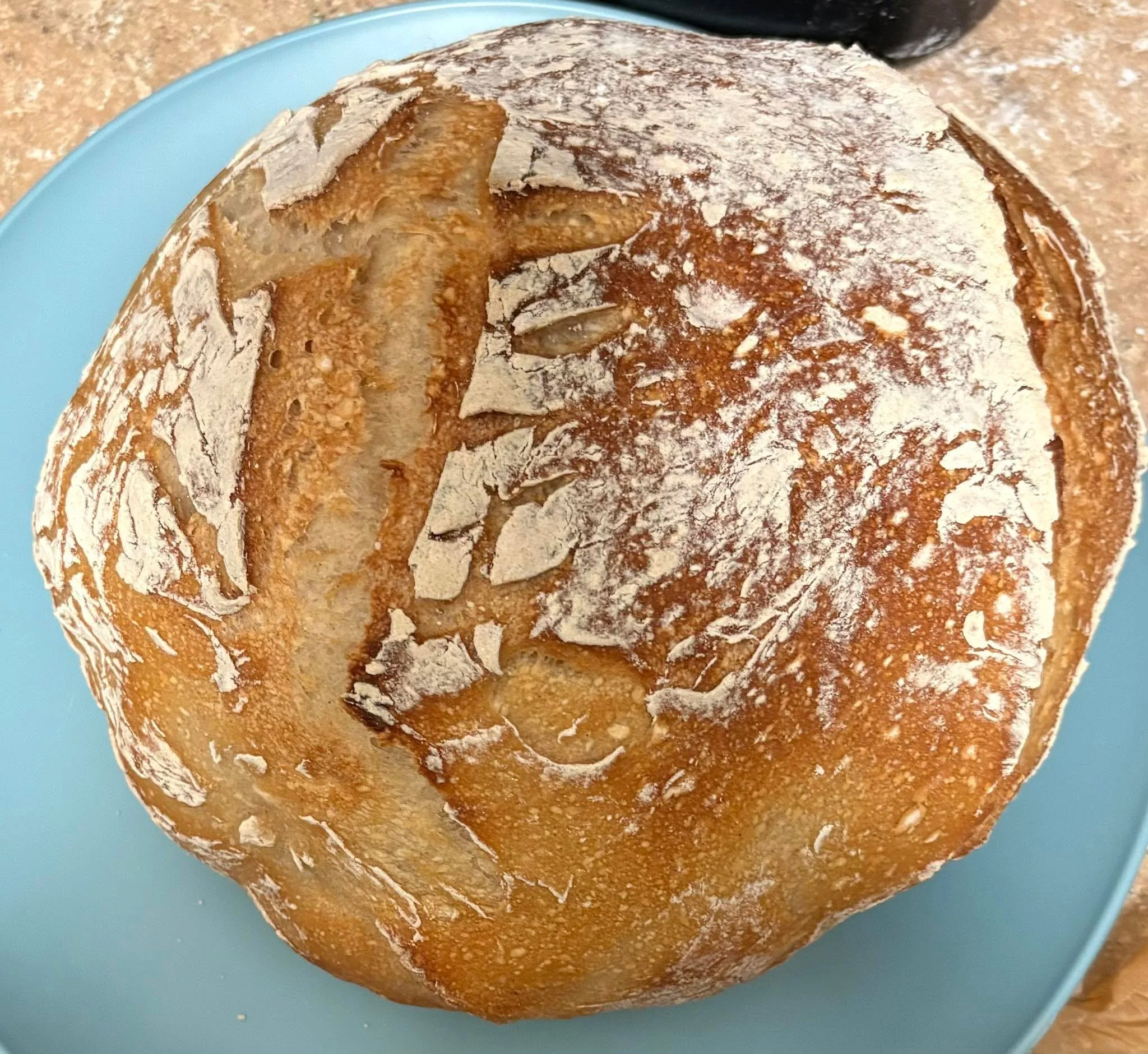 First sourdough in our apartment. Getting the perfect scoring takes time and practice but it came out perfect. Can&rsquo;t wait to cut into it!