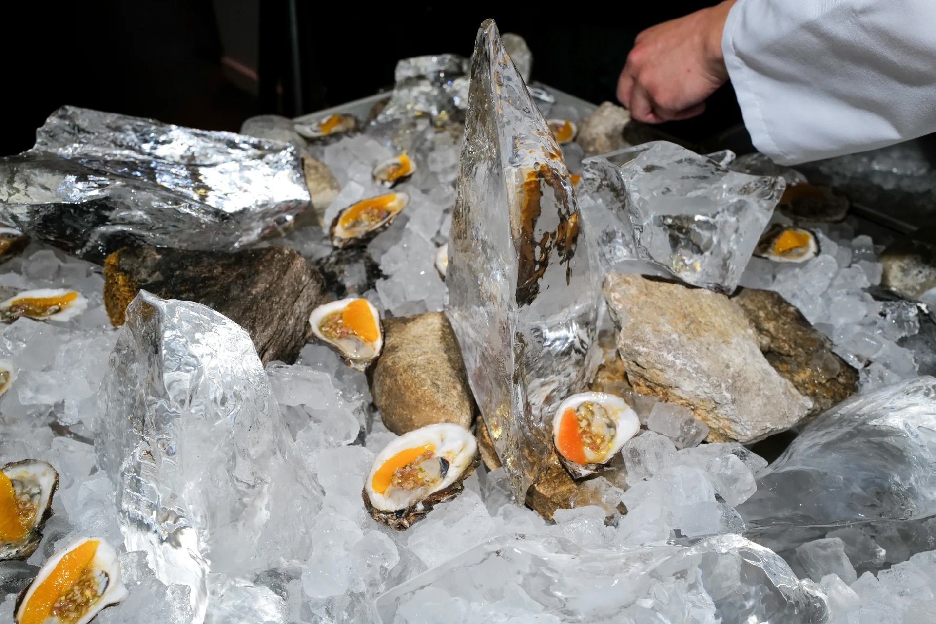 230523_AEDP_Dinner_Sansho_Scott-24.jpg