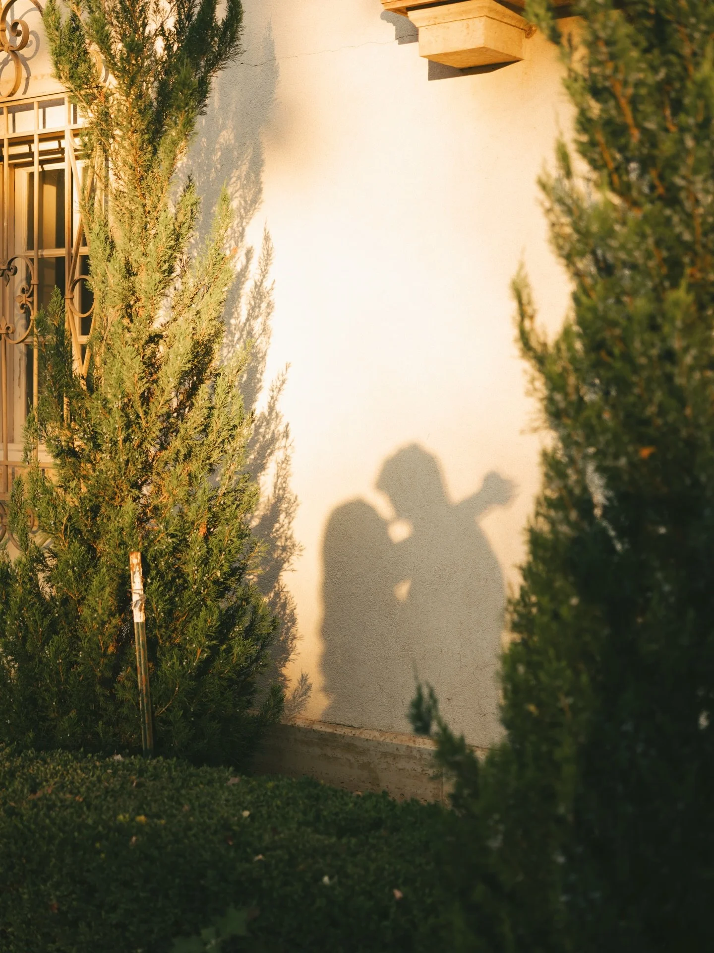 This sweet day wandering through @philbrookmuseum felt like a pause button&hellip; in the very best way.

If you&rsquo;re in this engagement season right now, here&rsquo;s your reminder:
you don&rsquo;t have to rush it
you don&rsquo;t have to have it