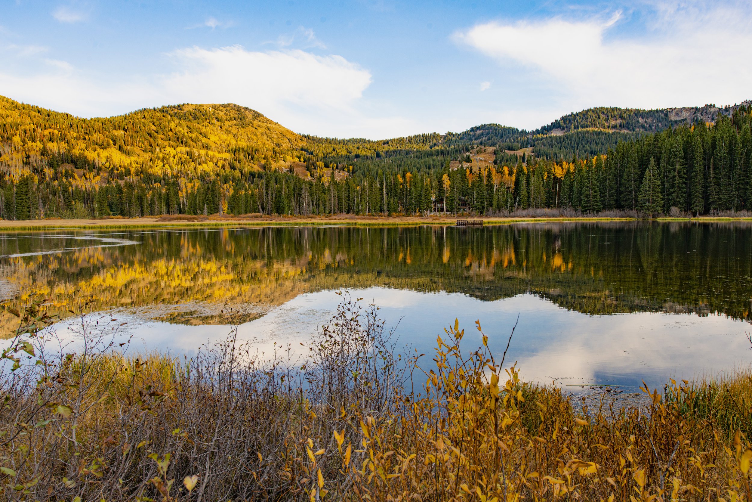 silver lake.jpg