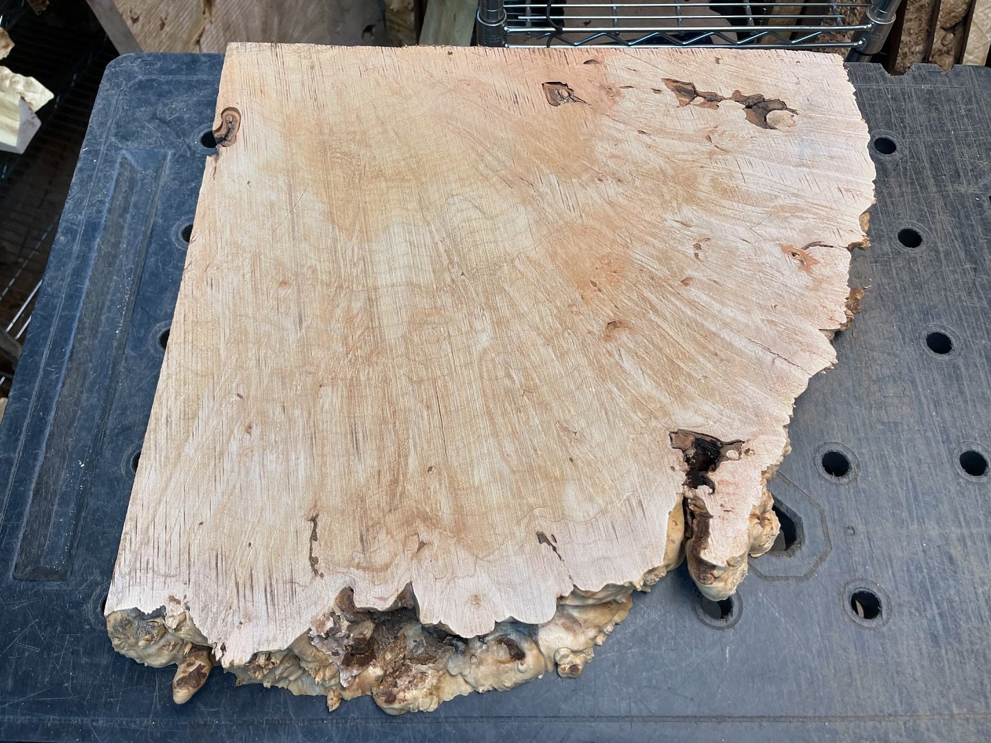 🚨 🌳4️⃣8️⃣Hour Burl Auction Alert! 🌳🚨

🔥Premium live edge, highly figured, quilted flame maple burl slab

🪵 Dimensions: 20&rdquo;x20&rdquo;x2&rdquo;
⏰ Auction Ends: November 4th at 6 PM PST
💵 Starting Bid: $90
🔺 Minimum Incremental increase: $