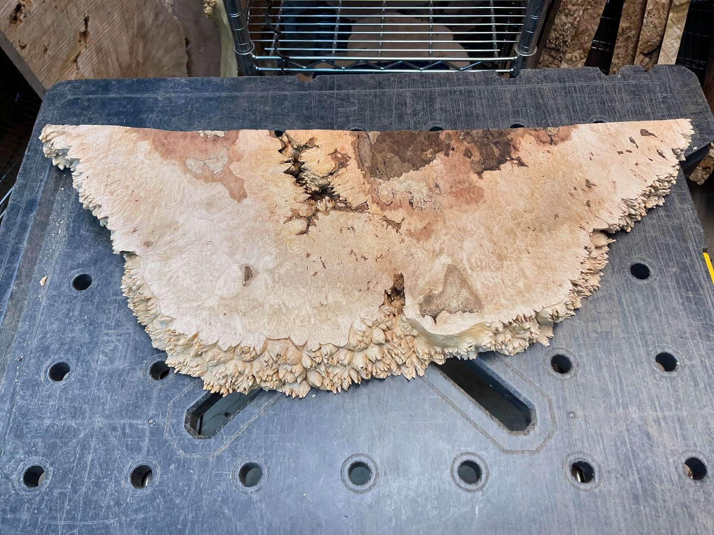 🚨 🌳4️⃣8️⃣Hour Burl Auction Alert! 🌳🚨

🔥Premium live edge, highly figured, quilted spalted ambrosia flame maple burl slab

🪵 Dimensions: 28&rdquo;x11&rdquo;x2&rdquo;
⏰ Auction Ends: November 4th at 6 PM PST
💵 Starting Bid: $125
🔺 Minimum Incre