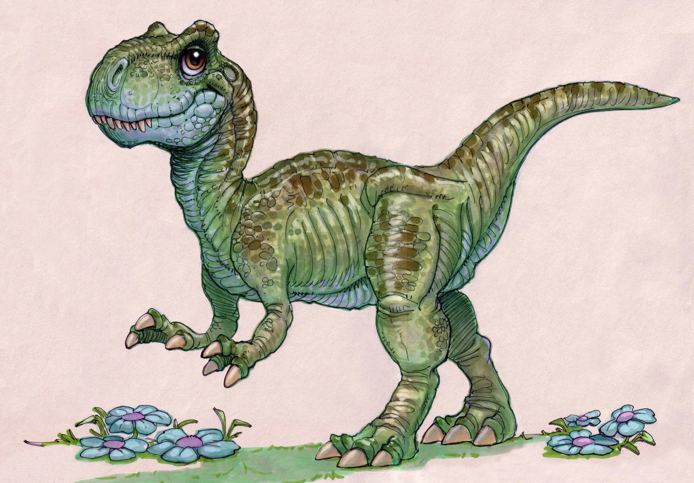 REX FINAL TAN GREEN.jpg