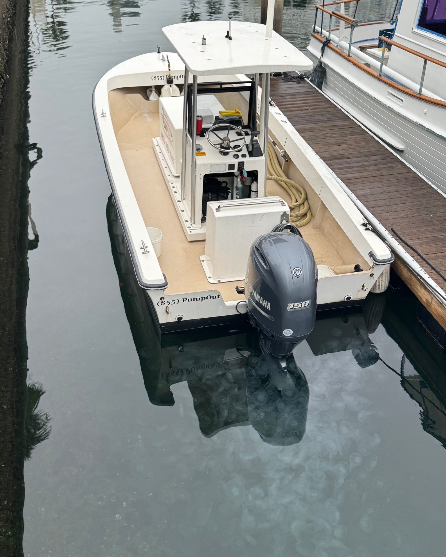 Jellyfish-approved water quality! We see some amazing marine life out on the job, check out our new highlight reel to catch all the cool creatures we spot! 🪼
