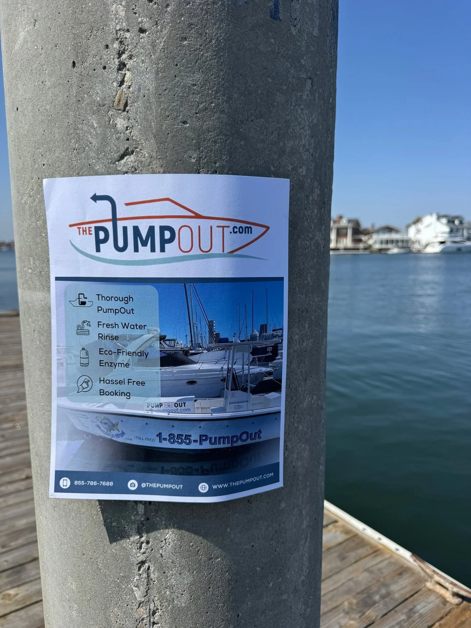 New flyers? Shore is!