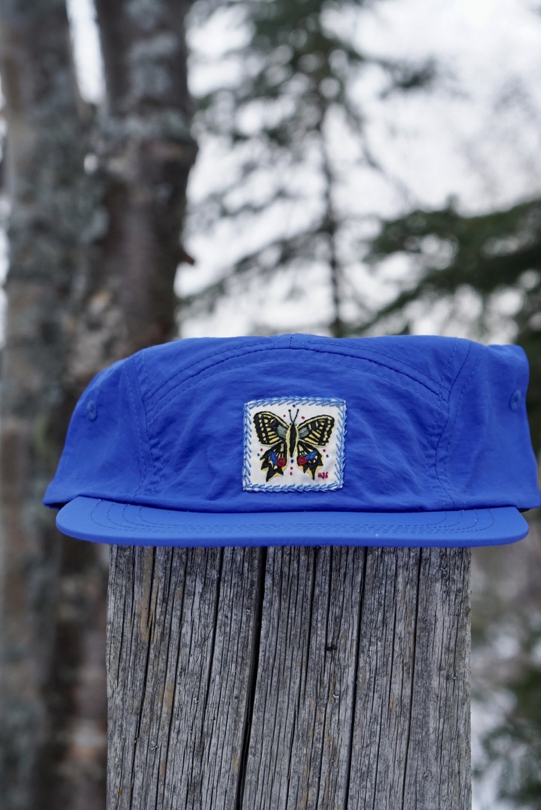 Swallowtail (glacial)