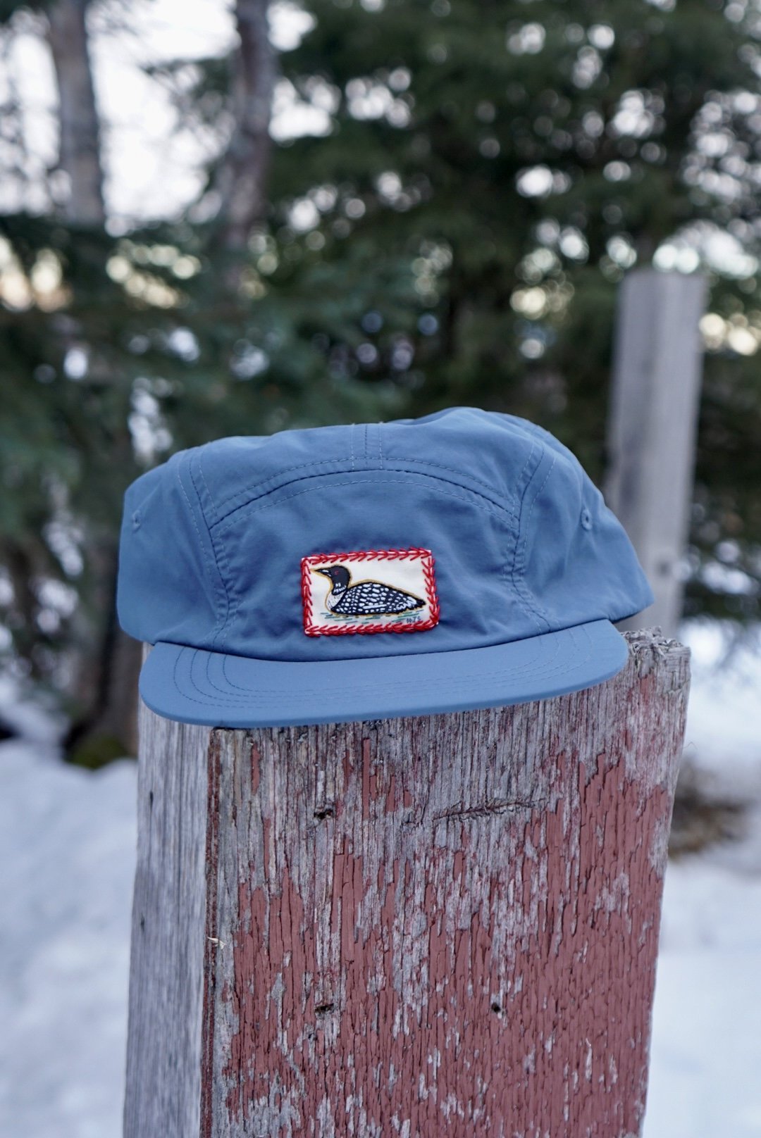 Minnesota Loon (lagoon)