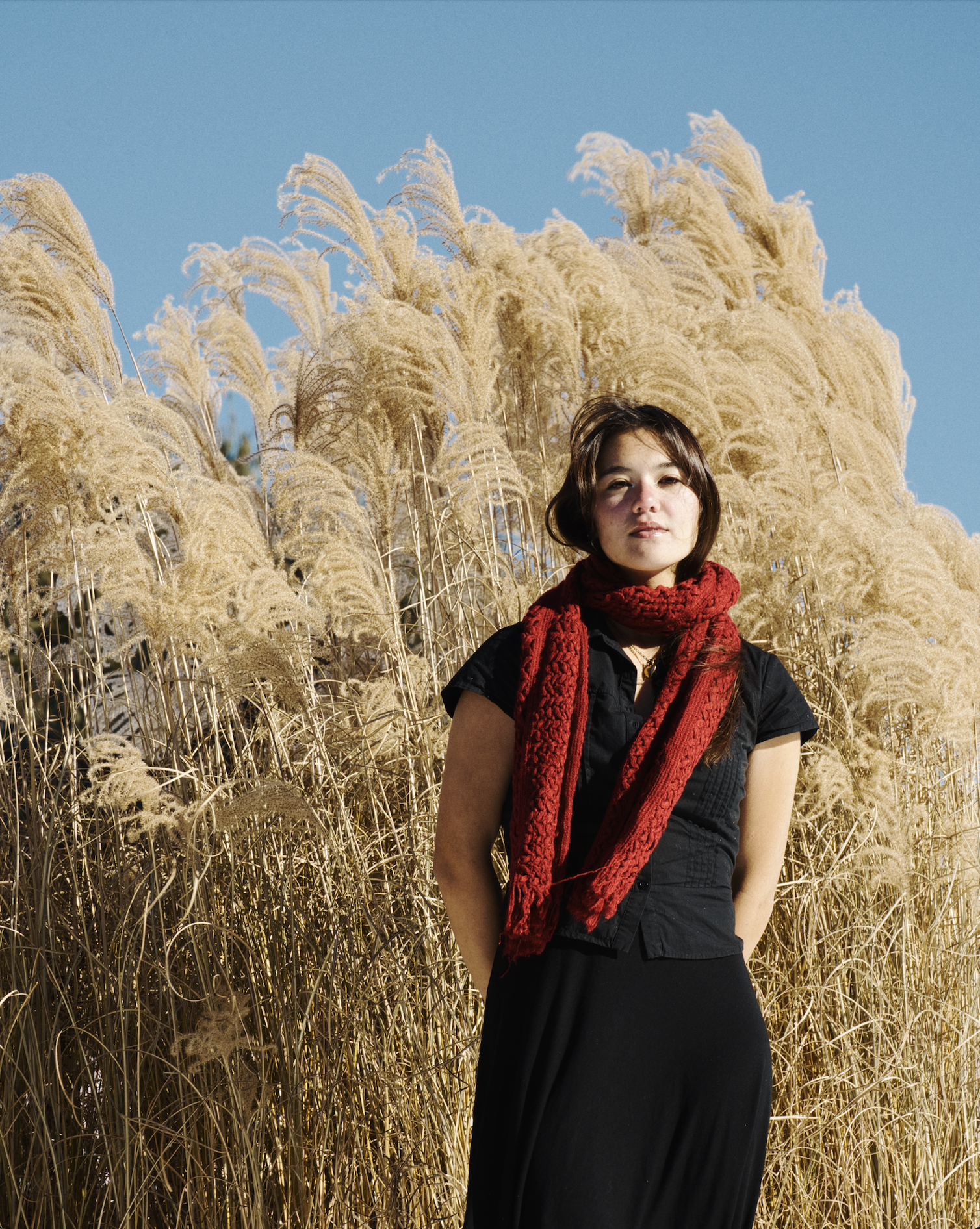 Screen Shot 2025-12-06 at 1.48.02 PM.png