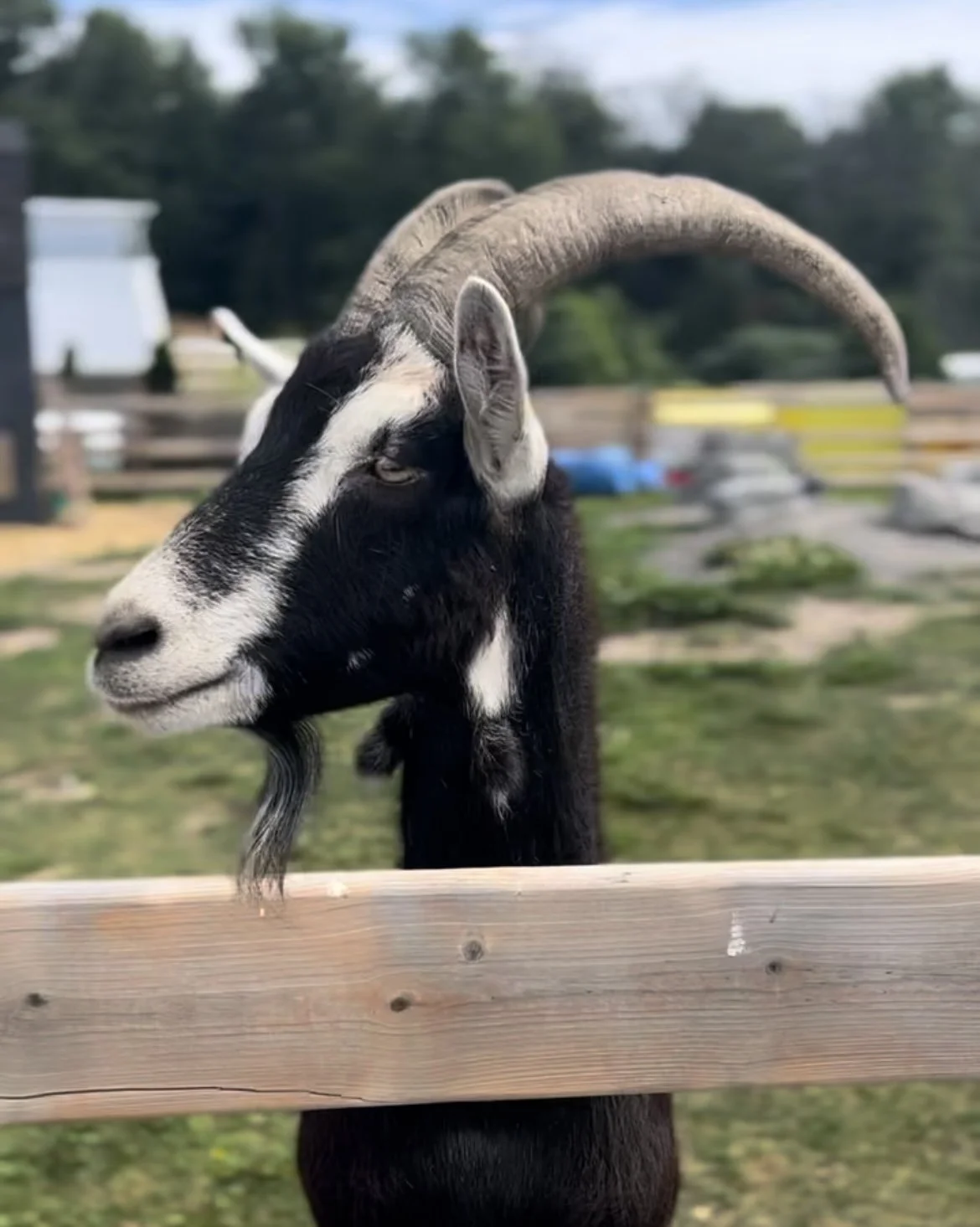 Best things to do with kids in Prince Edward County