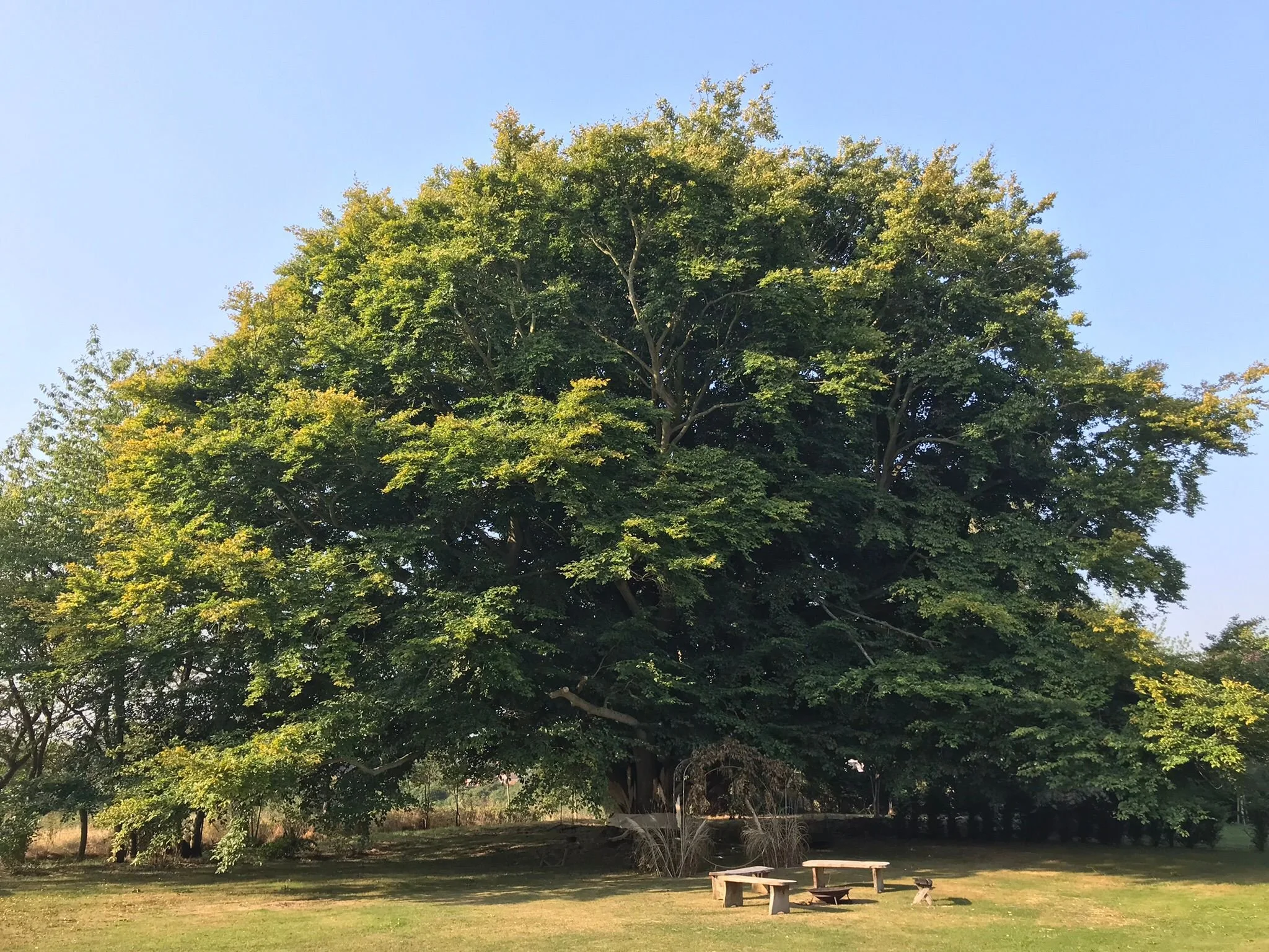 5f72d5a4-57e7-470b-93bb-c37371b1eaf2 (1).jpg