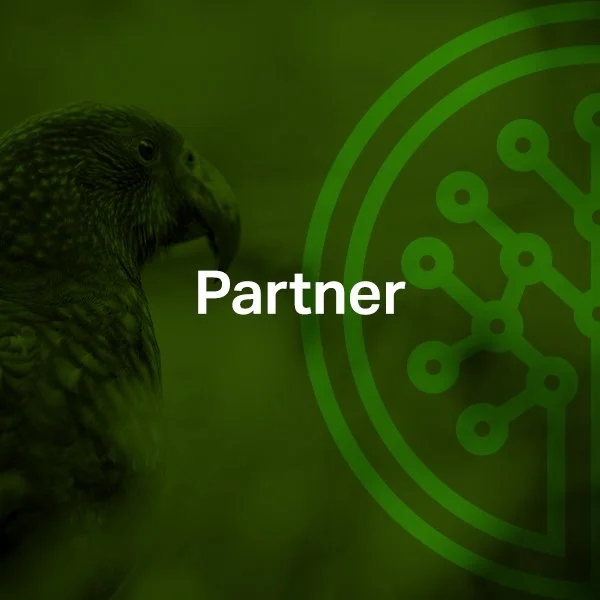Partner.jpg