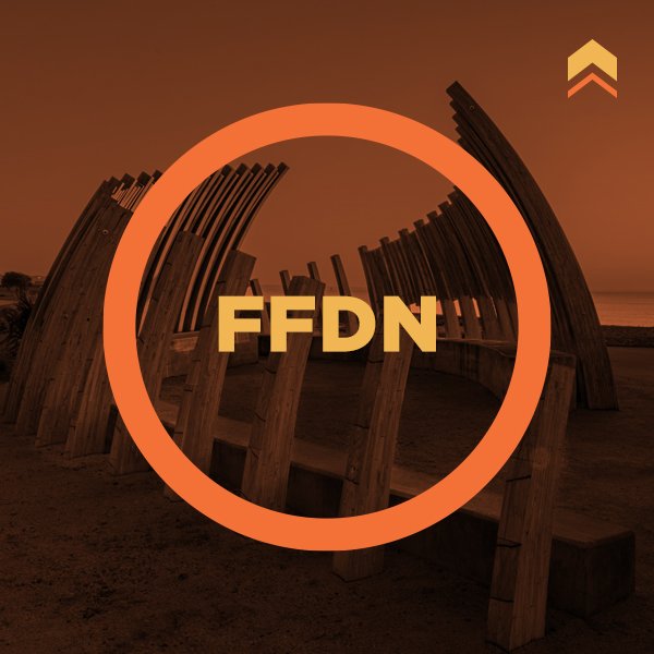 Regis_Image_FFDN.jpg