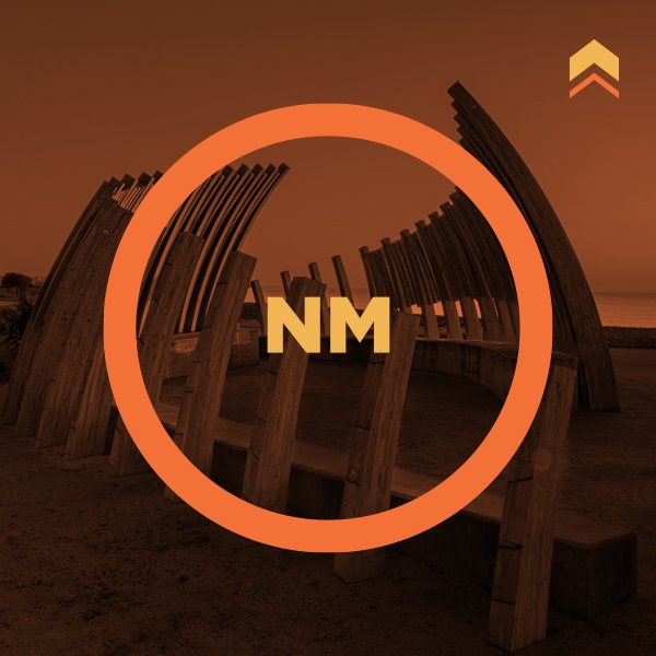 Regis_Image_NM.jpg
