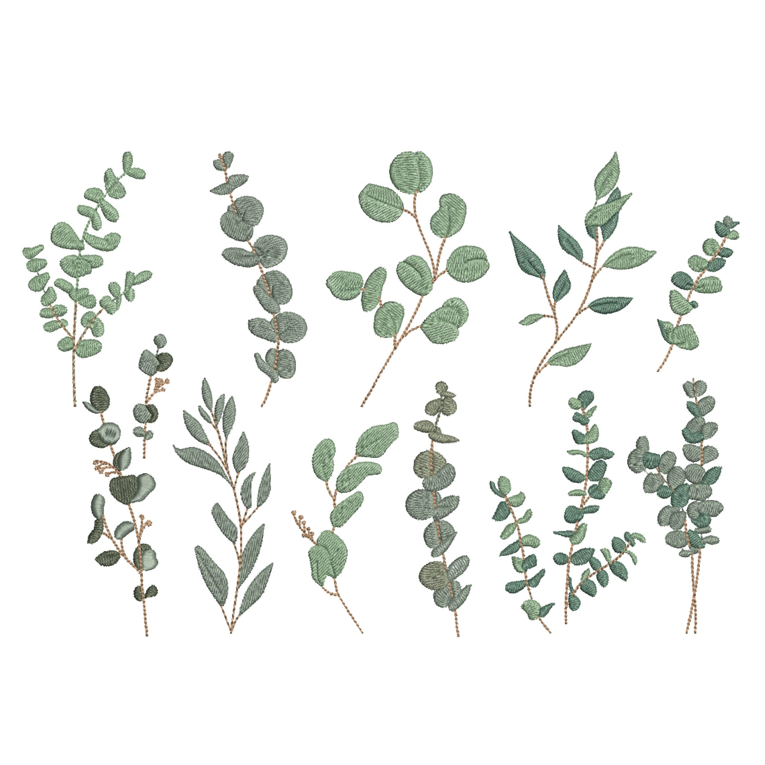 Eucalyptus Laurel Branch Machine Embroidery Design Bundle