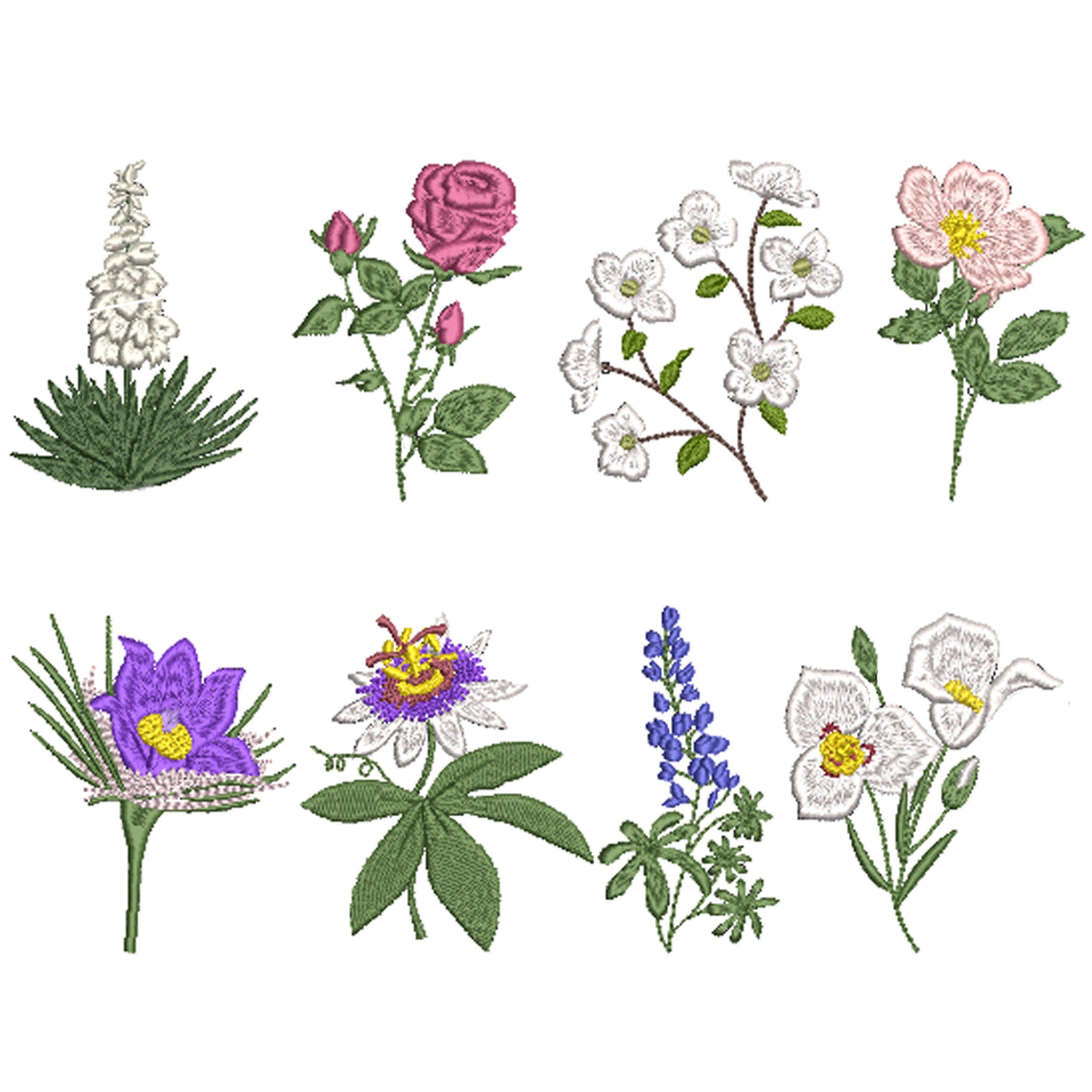 https://i.etsystatic.com/30923089/r/il/594aff/5347304921/il_fullxfull.5347304921_l712.jpg