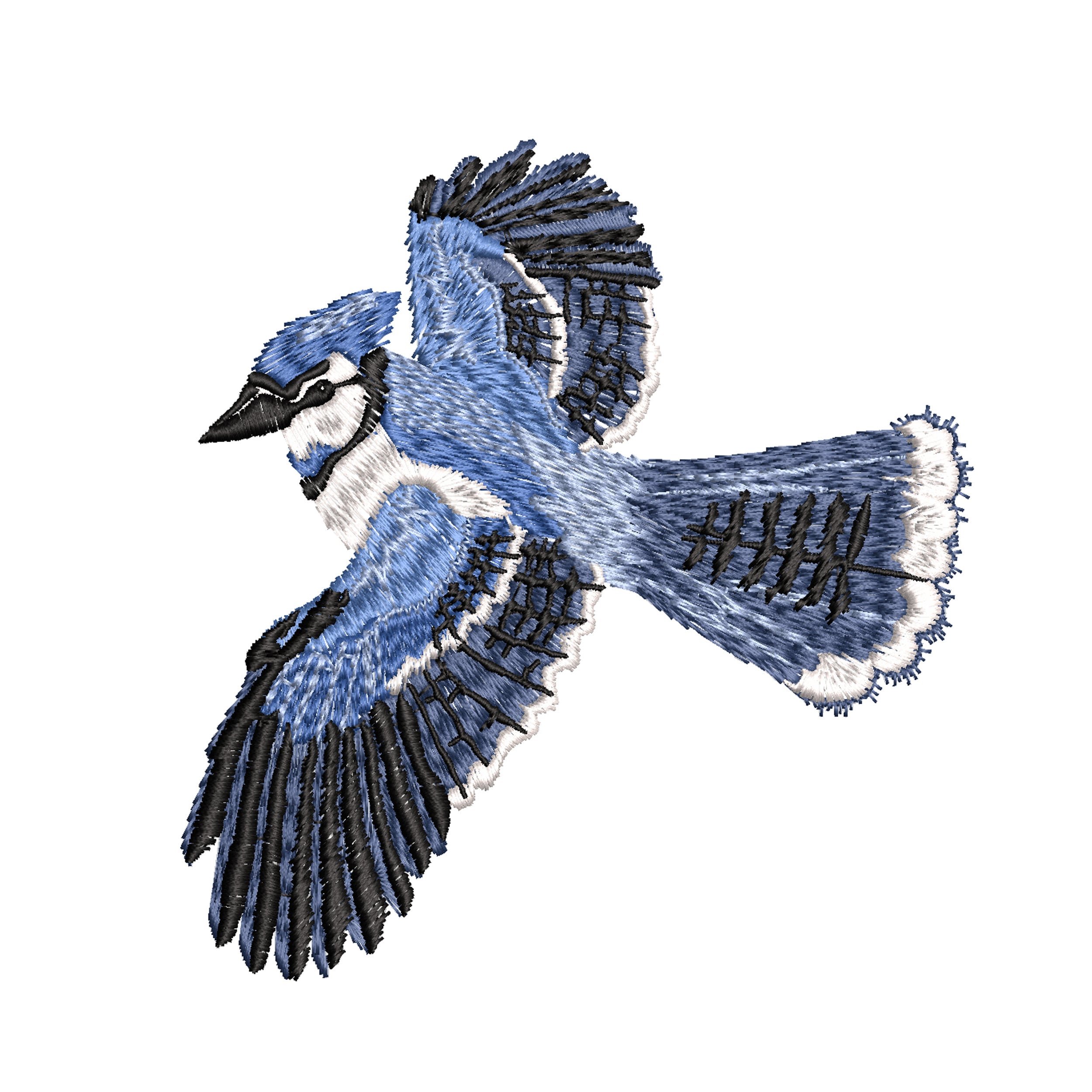https://i.etsystatic.com/30923089/r/il/22b852/3544445328/il_fullxfull.3544445328_r1fx.jpg
