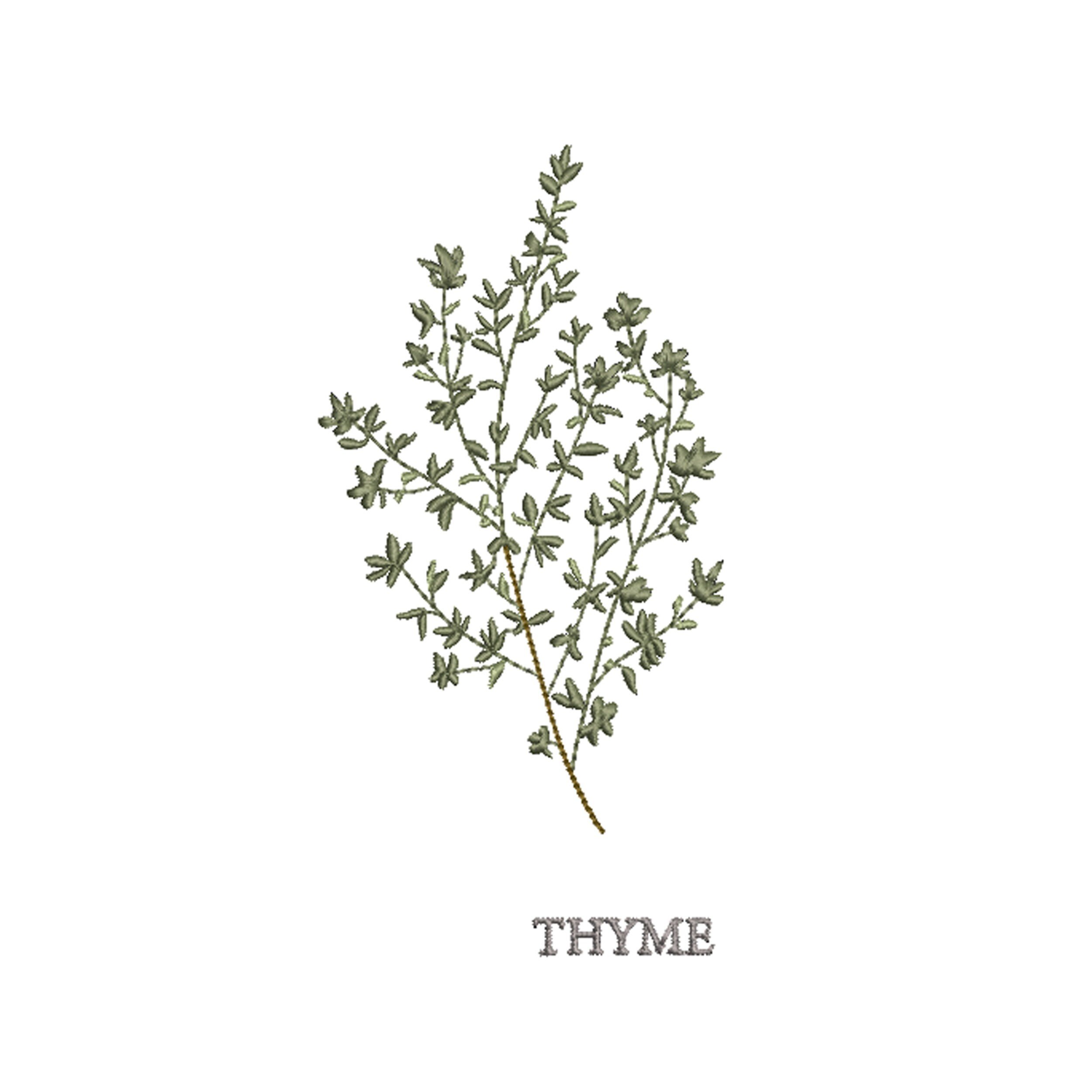 https://i.etsystatic.com/30923089/r/il/54d9cd/3573874324/il_fullxfull.3573874324_n5el.jpg