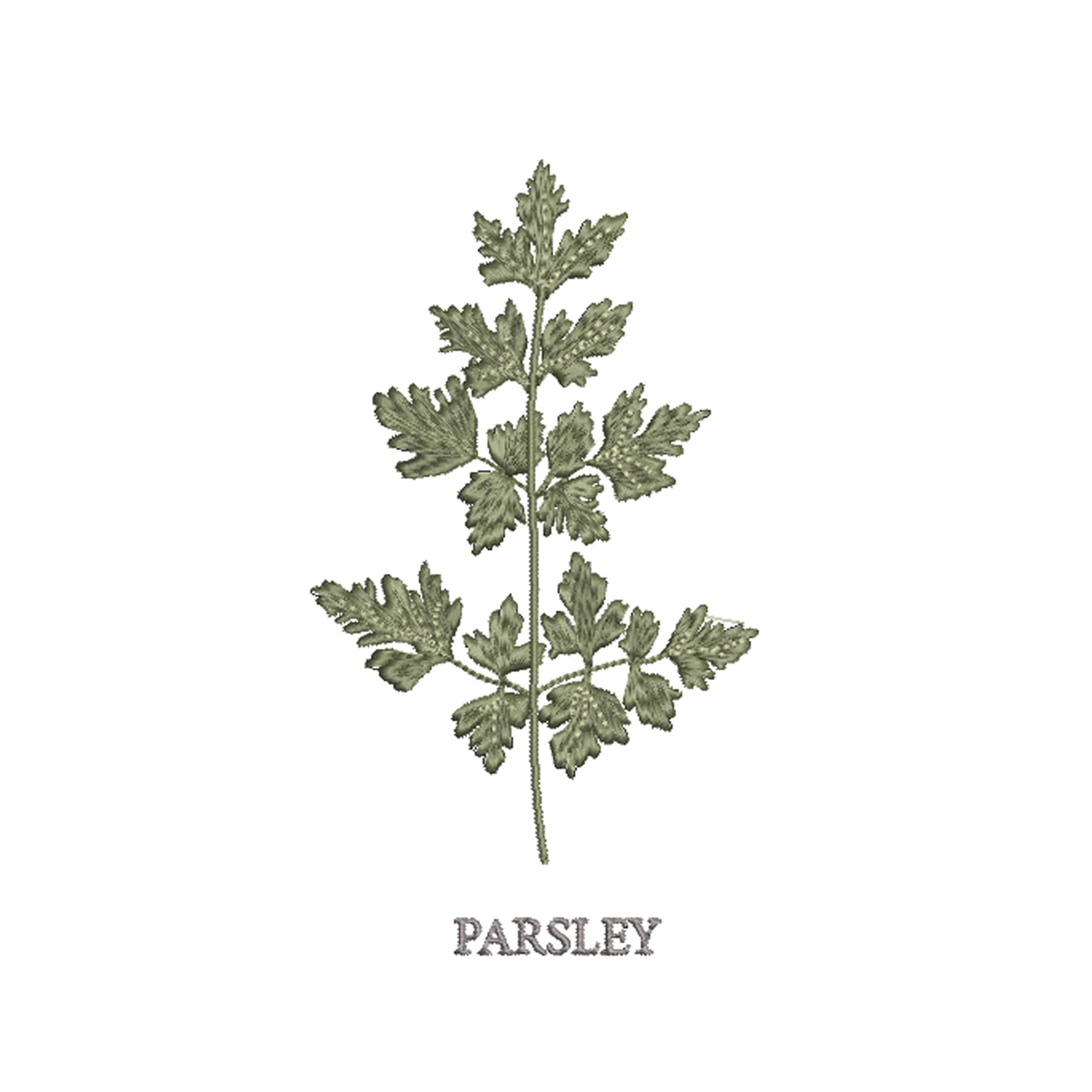 https://i.etsystatic.com/30923089/r/il/bfbddc/3621498779/il_fullxfull.3621498779_ttav.jpg