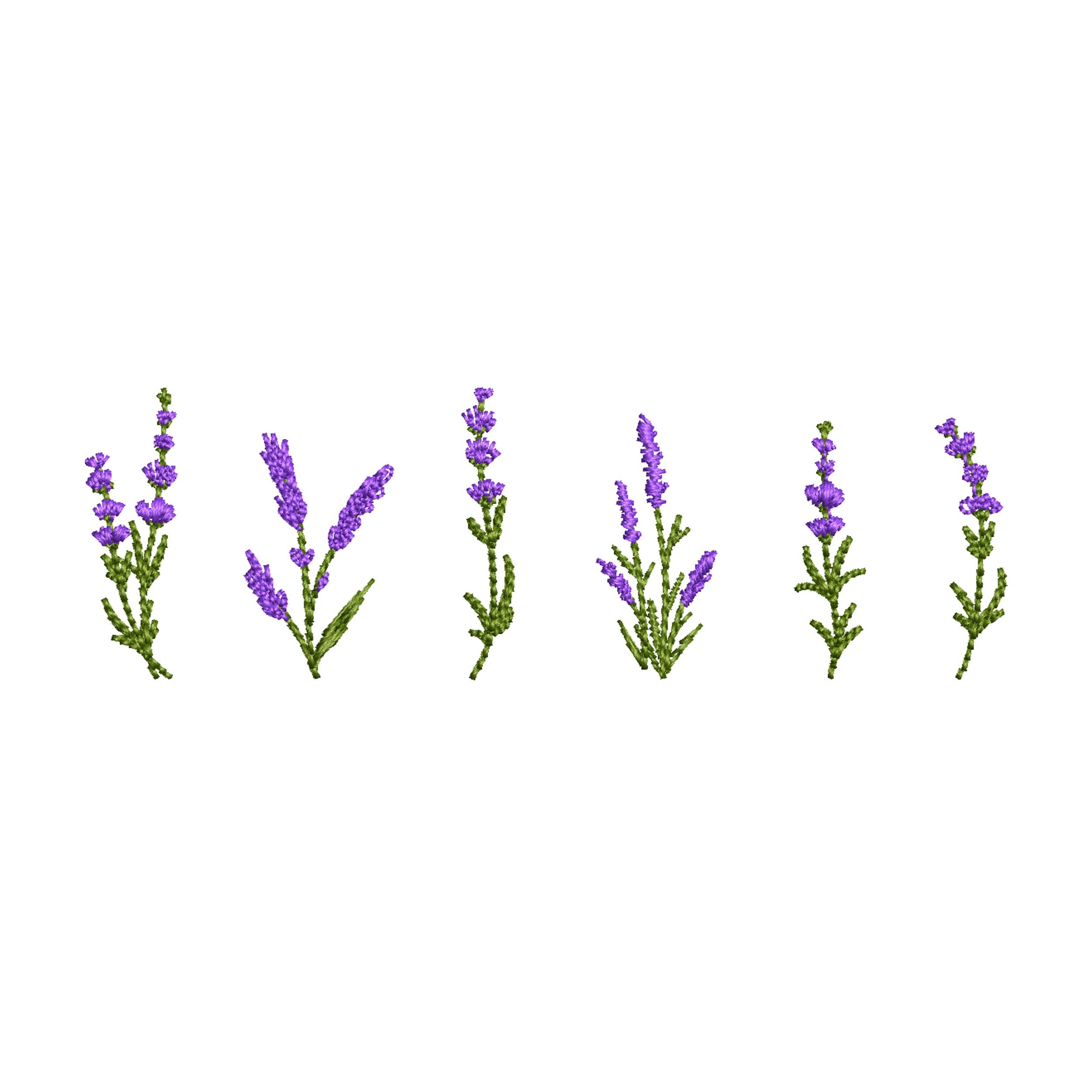 https://i.etsystatic.com/30923089/r/il/bdaff2/4023016125/il_fullxfull.4023016125_htuo.jpg