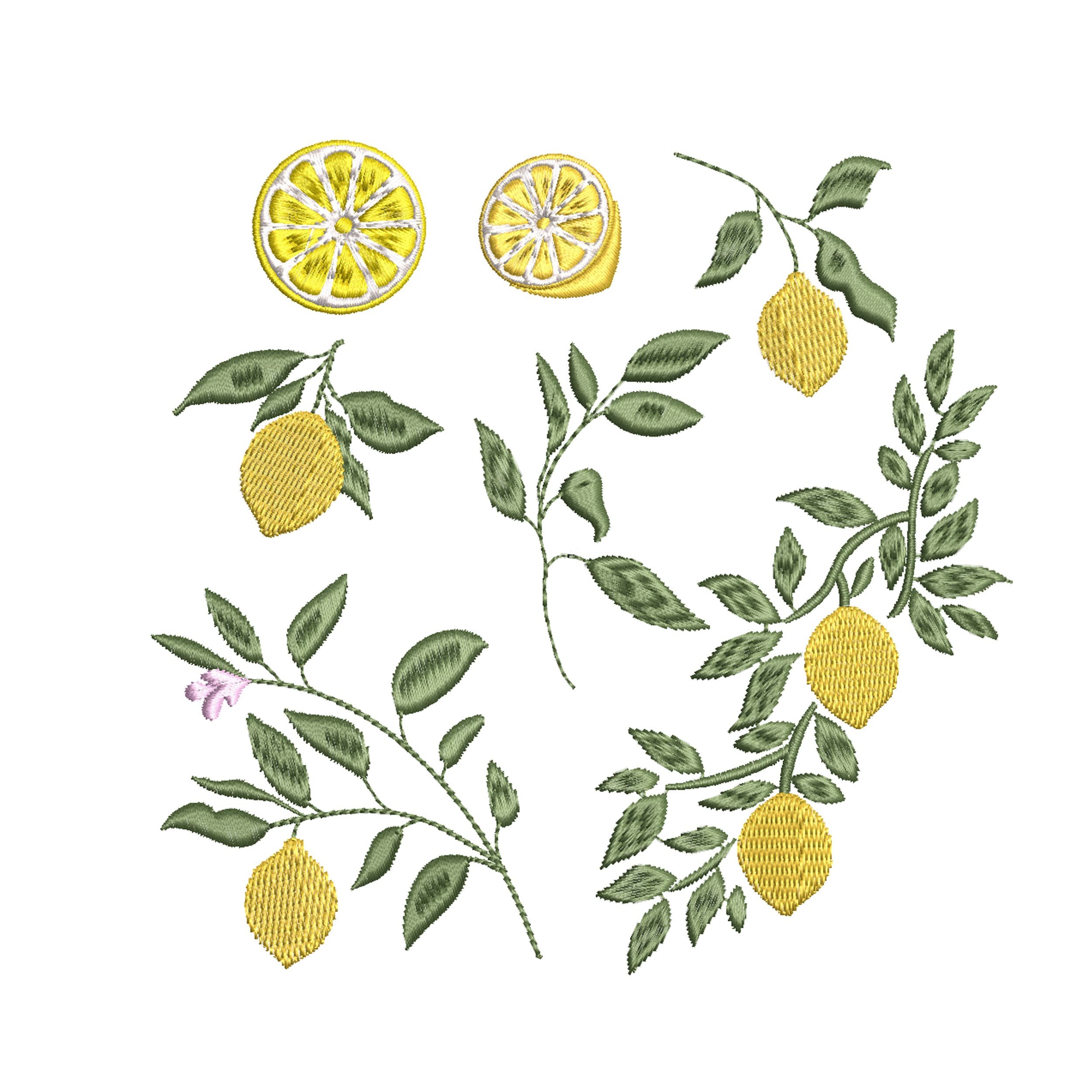 https://i.etsystatic.com/30923089/r/il/85c571/3975066051/il_fullxfull.3975066051_eibh.jpg