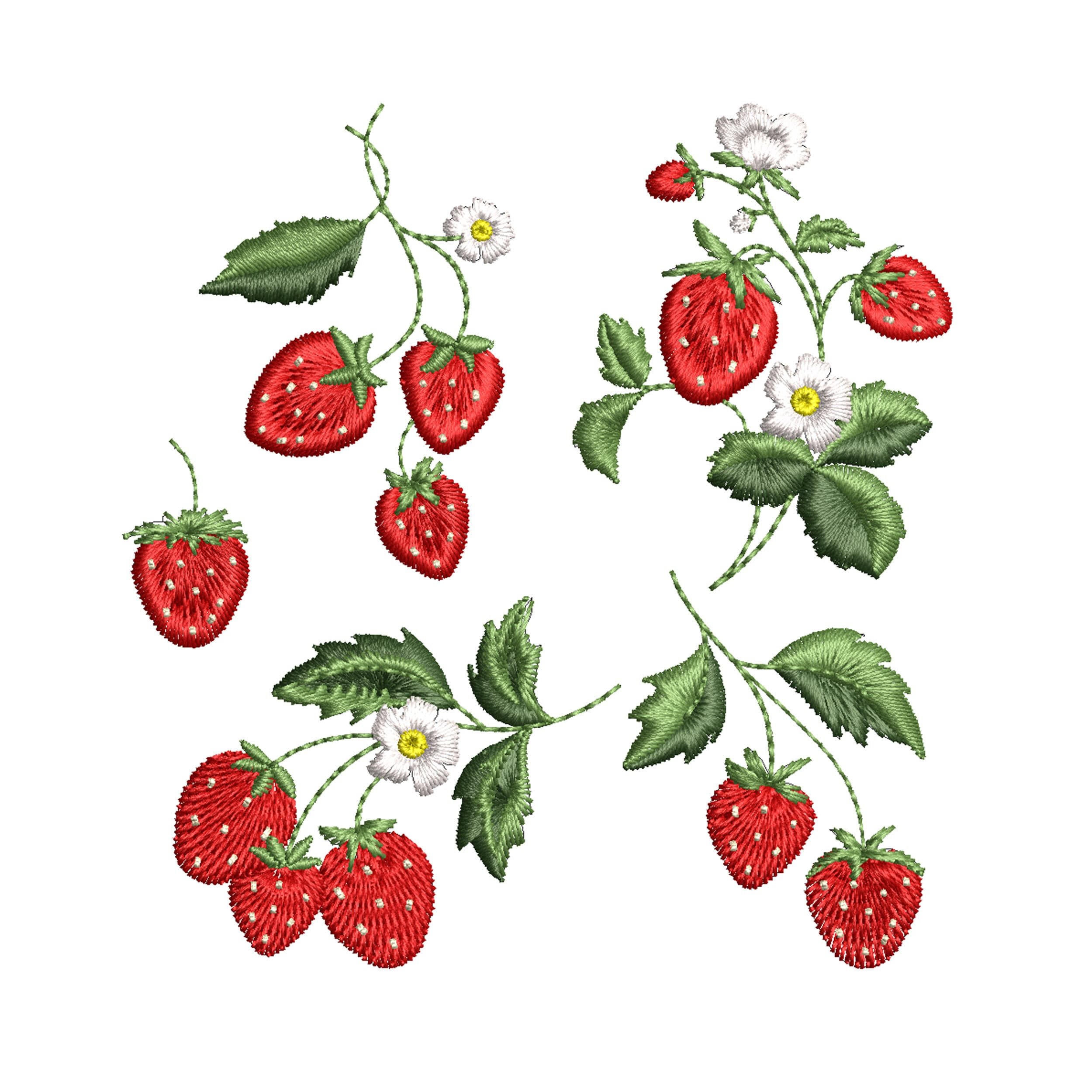 https://i.etsystatic.com/30923089/r/il/7e2c7c/5897246206/il_fullxfull.5897246206_fluq.jpg