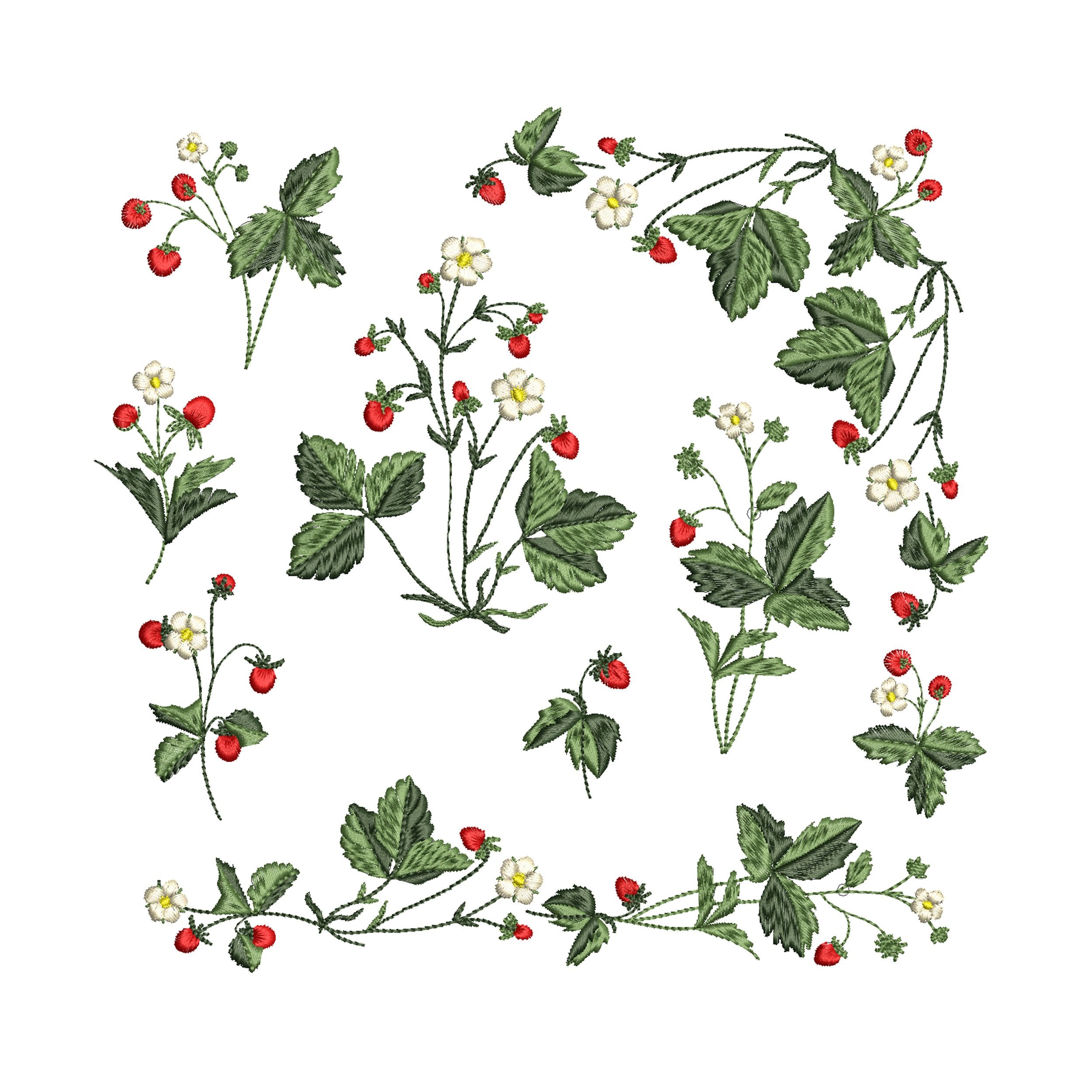 https://i.etsystatic.com/30923089/r/il/77693f/4728681814/il_fullxfull.4728681814_nlcx.jpg