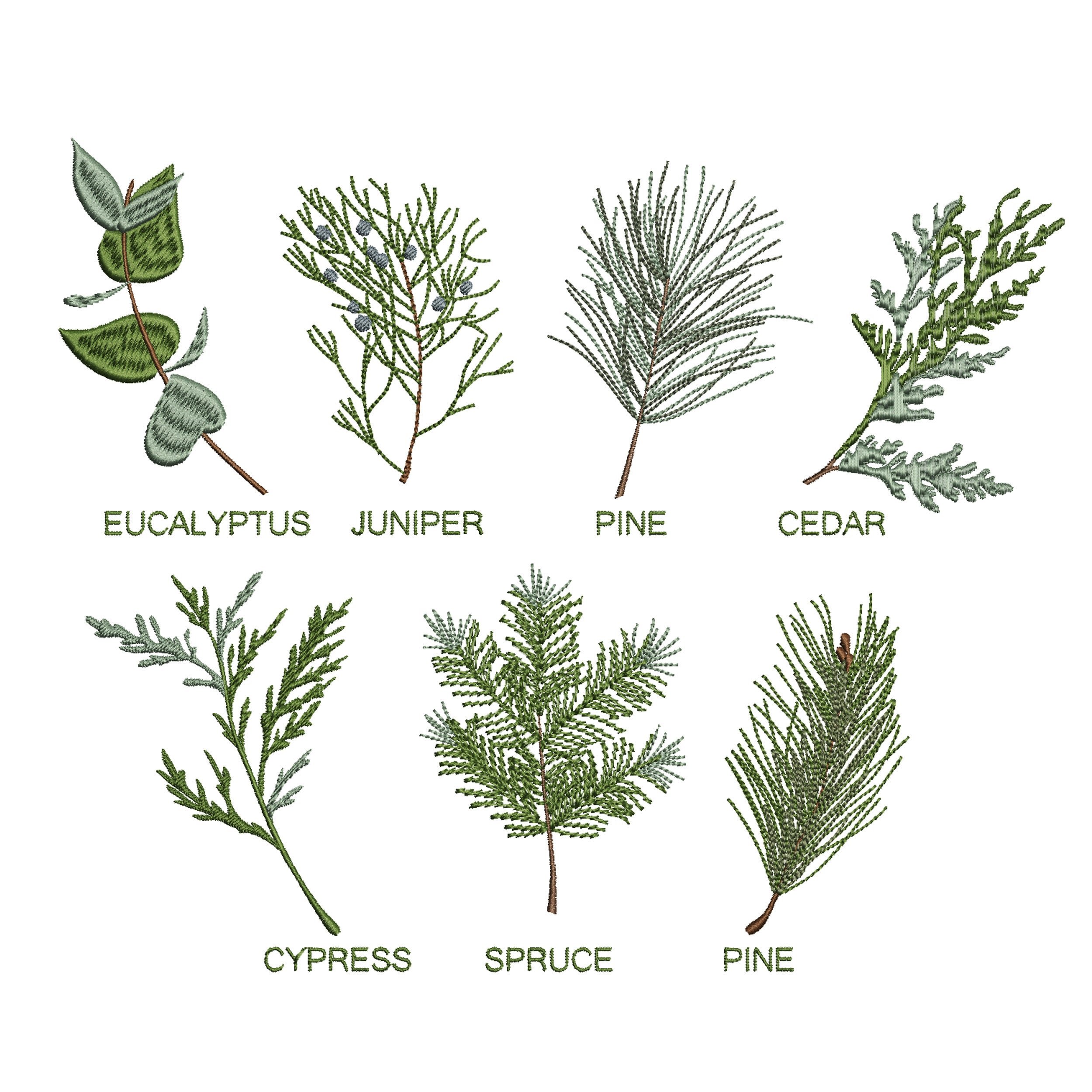 https://i.etsystatic.com/30923089/r/il/9b3d0a/4309281669/il_fullxfull.4309281669_oz6r.jpg