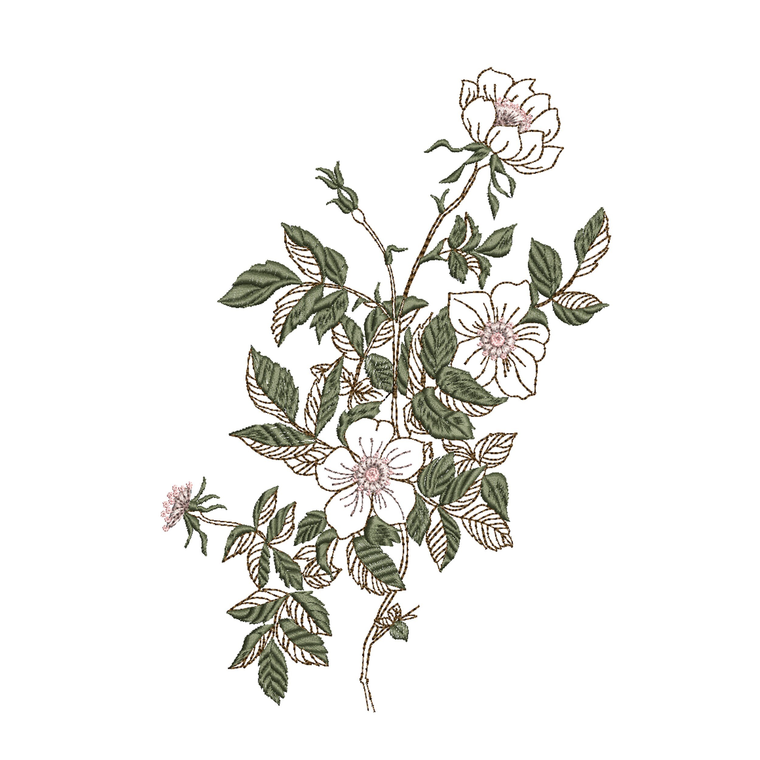 Rose Branch for Machine Embroidery Flower Download Zip