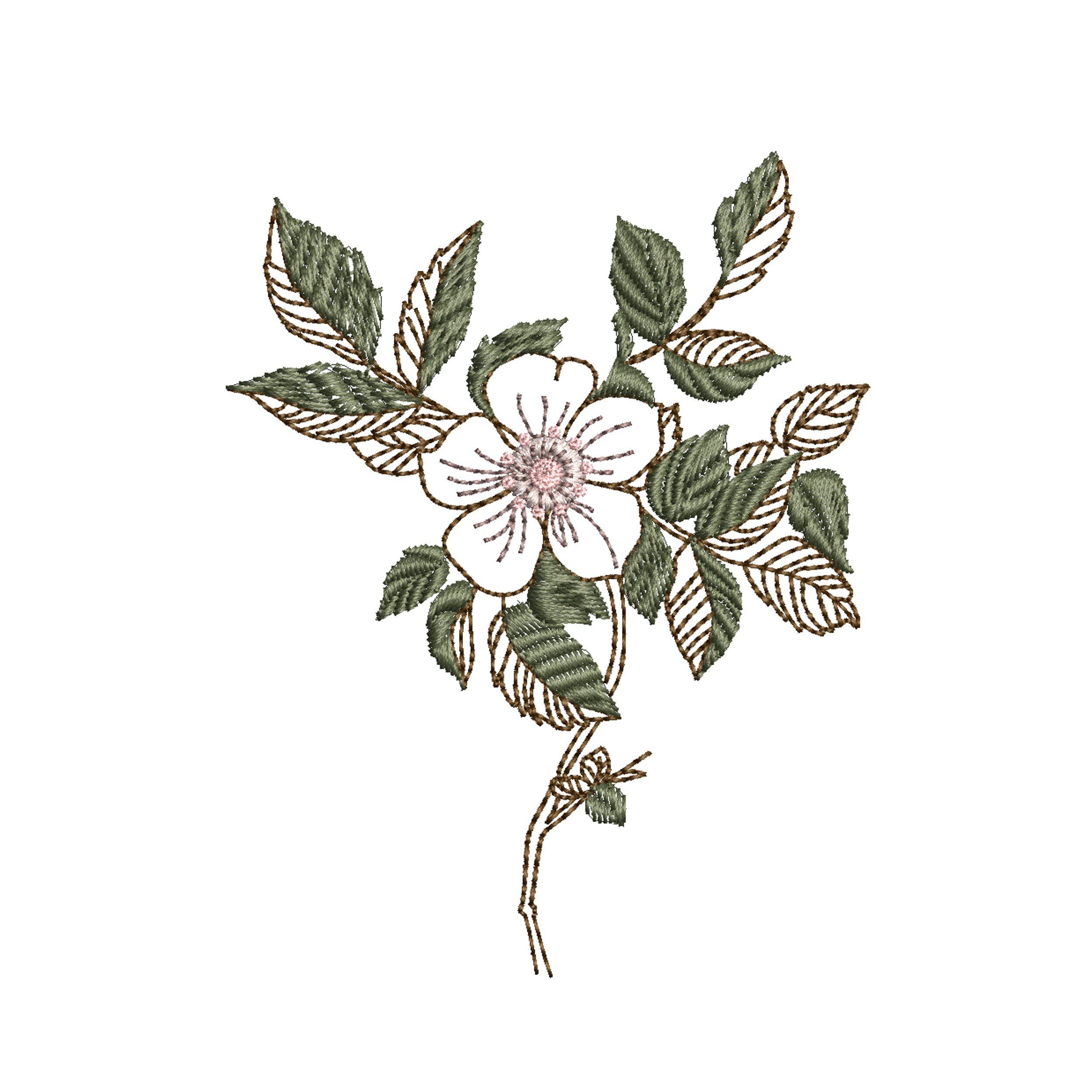 https://i.etsystatic.com/30923089/r/il/53d022/3299340889/il_fullxfull.3299340889_hmo1.jpg