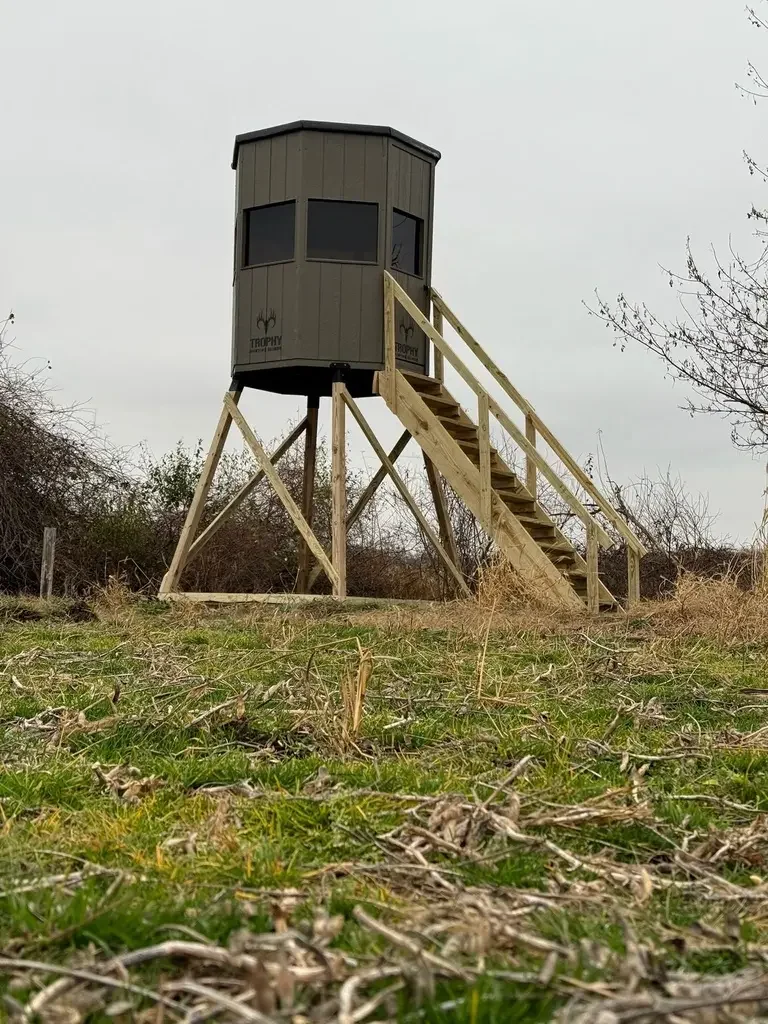 8' PT Wood Stand Kit (w- Stairs).webp