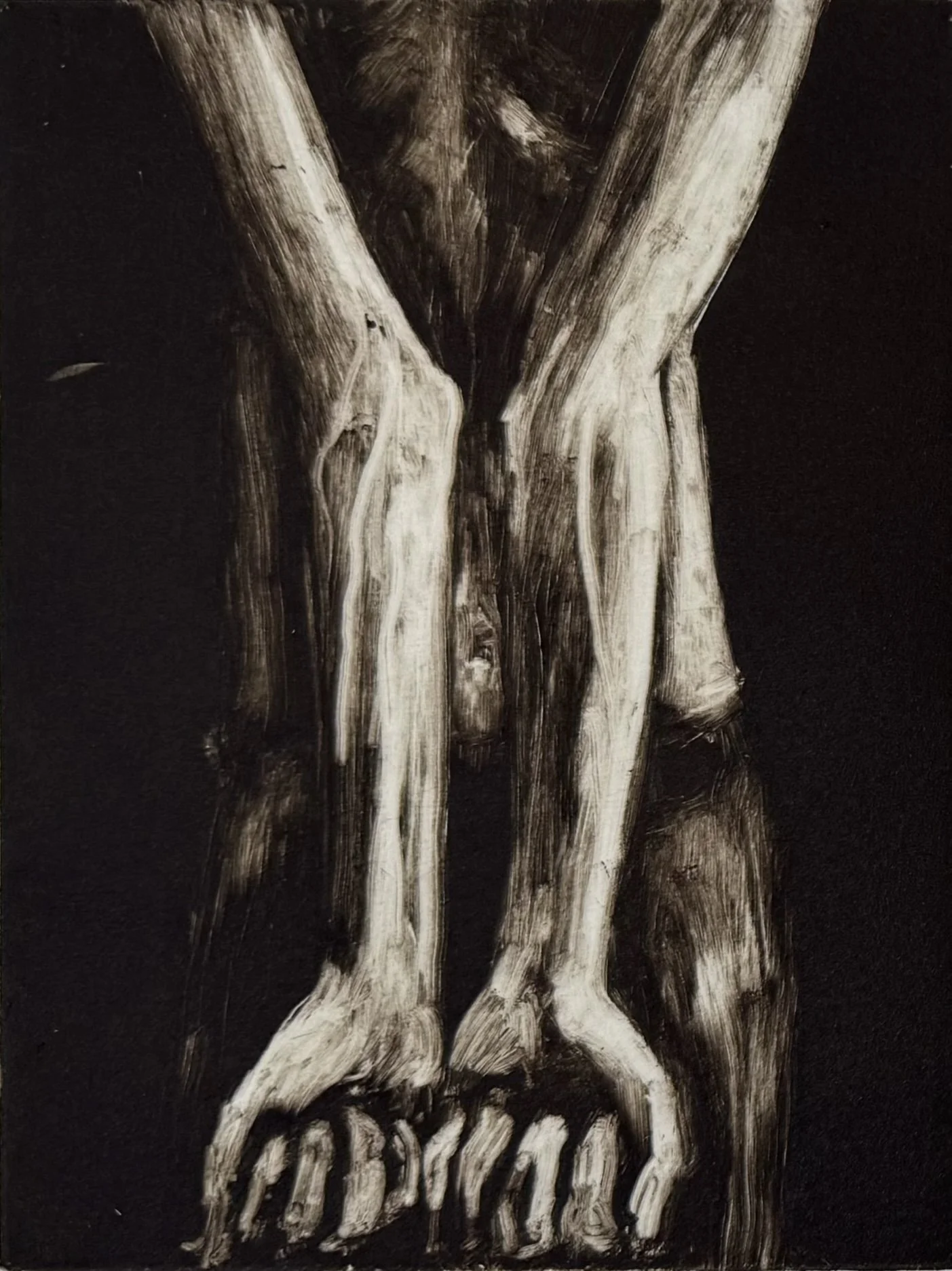 Captivity, 2025, 25x40 cm
