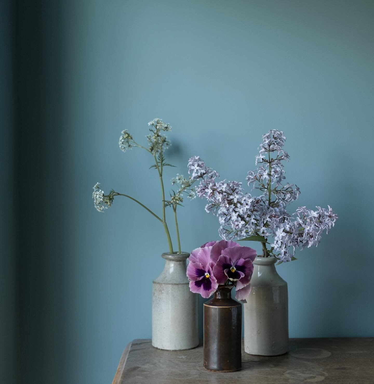 Pansies and lilac from the garden and cow parsley from this mornings walk. It feels like everyone on my feed is surrounded by masses of cow parsley but we&rsquo;re always a little behind here in our little pocket of colder weather so they&rsquo;re on