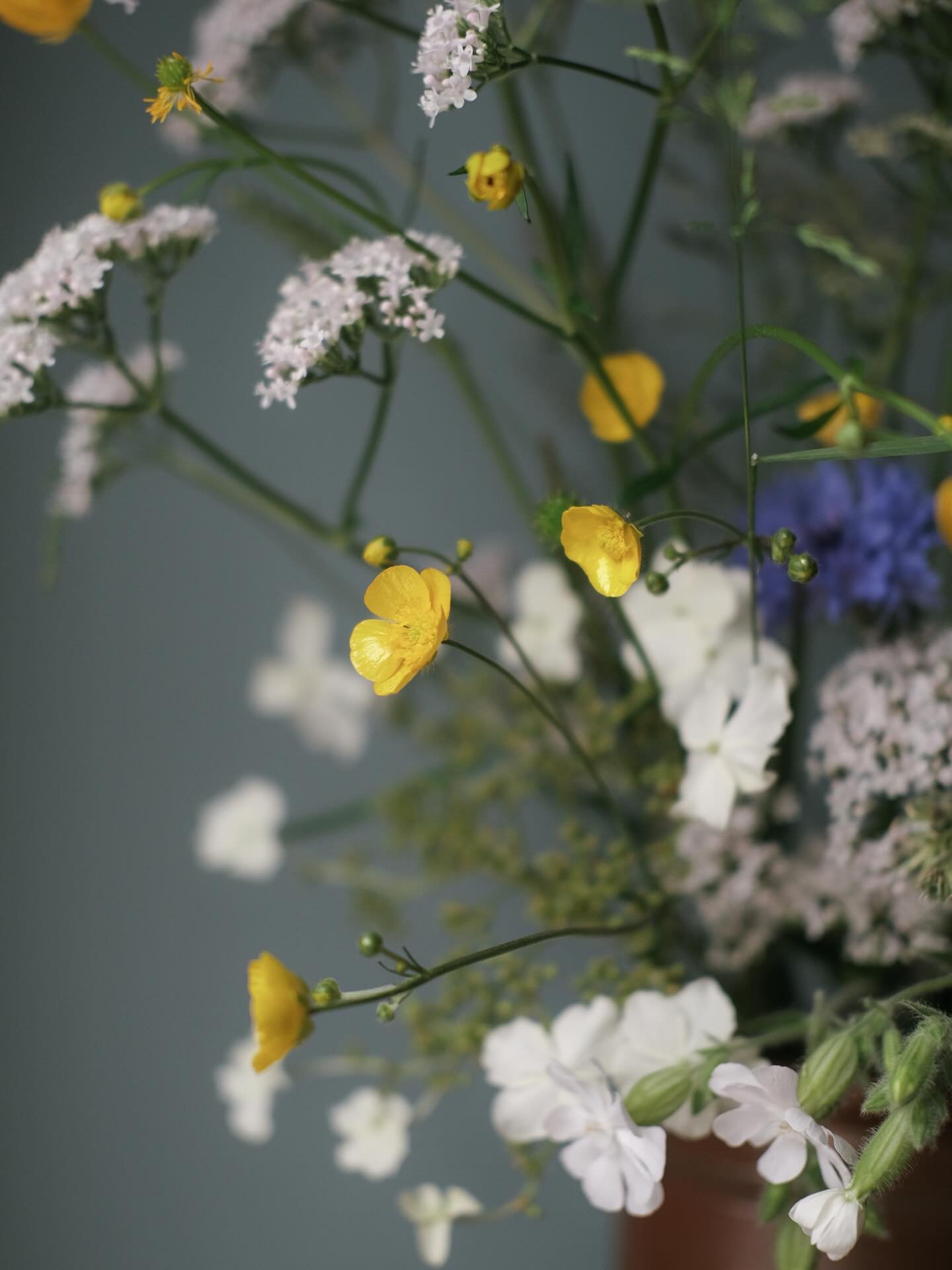 Winding down after a wonderful day with @coorieweddingplanning yesterday by picking flowers and chucking them in a vase in a lovely messy way. 

In the words of my grandad &ldquo;a bit straggly&rdquo; - just how I like &lsquo;em. 

Buttercups, valeri