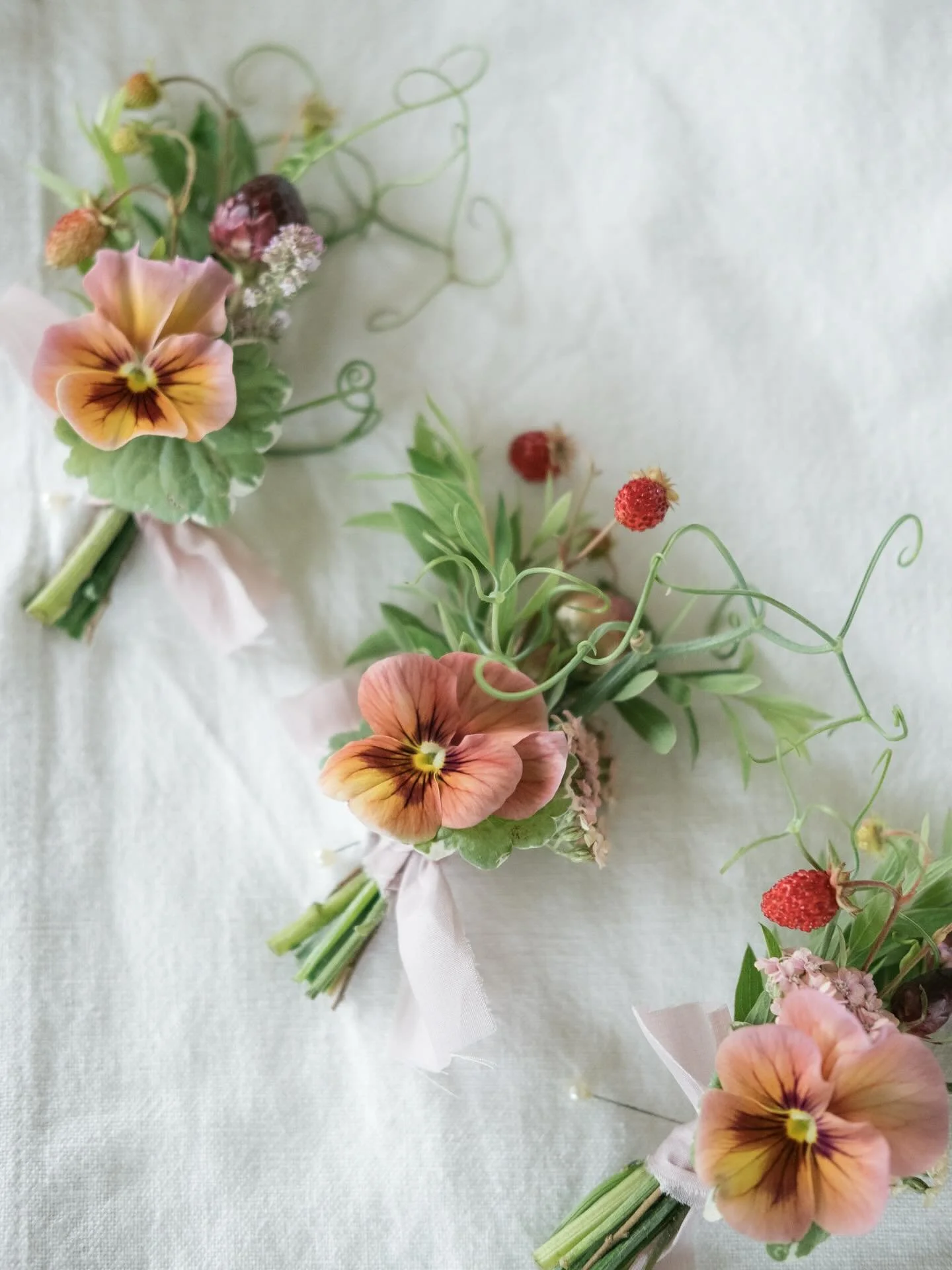 Sweet boutonni&egrave;res for E &amp; D&rsquo;s special day 🤍🍓

Been dreaming of using these mini strawberries and sweet pea tendrils so I am very glad the timing lined up so perfectly 🥰