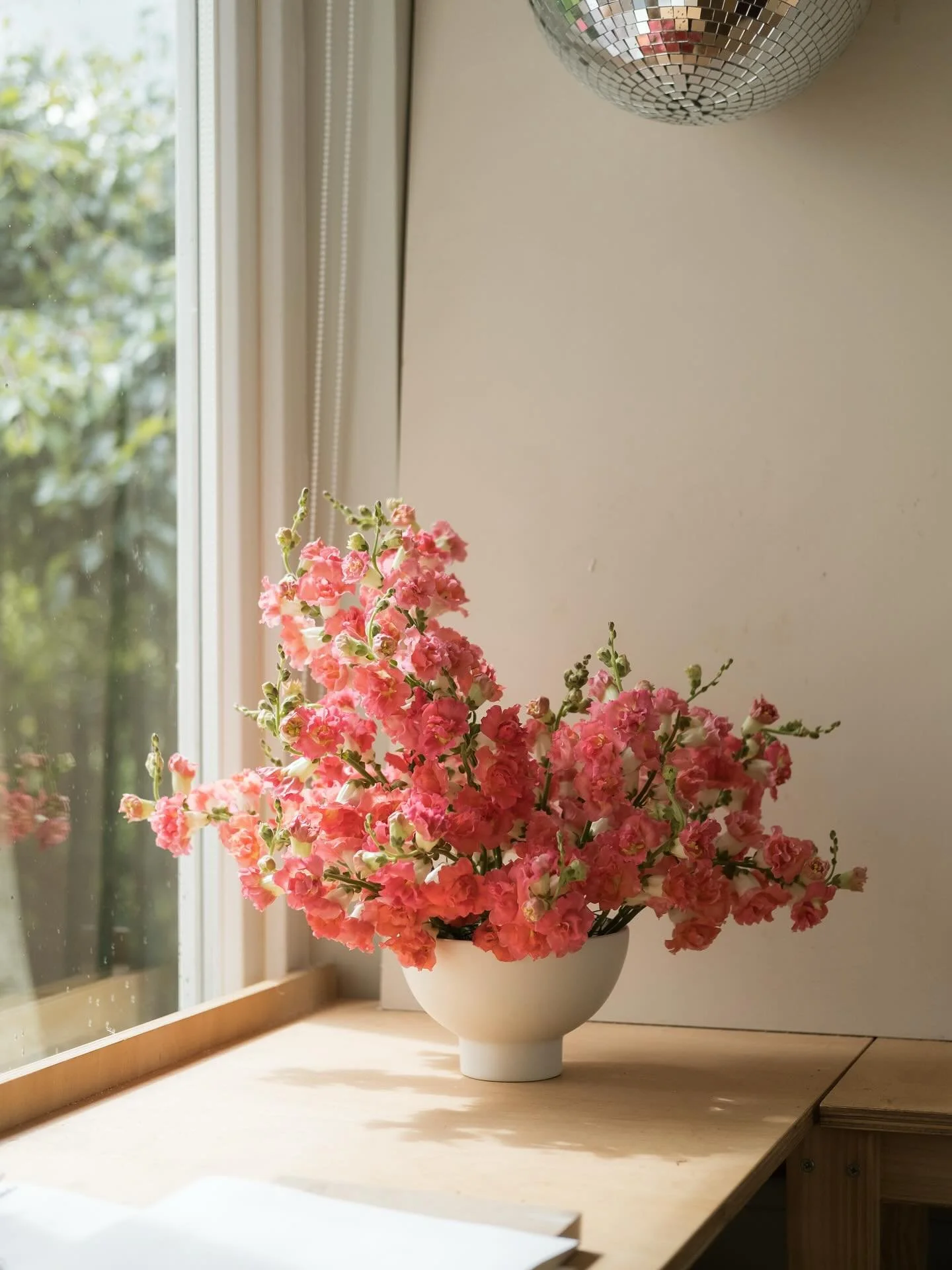 A bowl to celebrate the last of my wonderful snapdragons, regretting not doing a second succession of snaps because they have been unbelievably generous! 

Also accidentally only planted this one variety, hope to have a few more next year now that I 