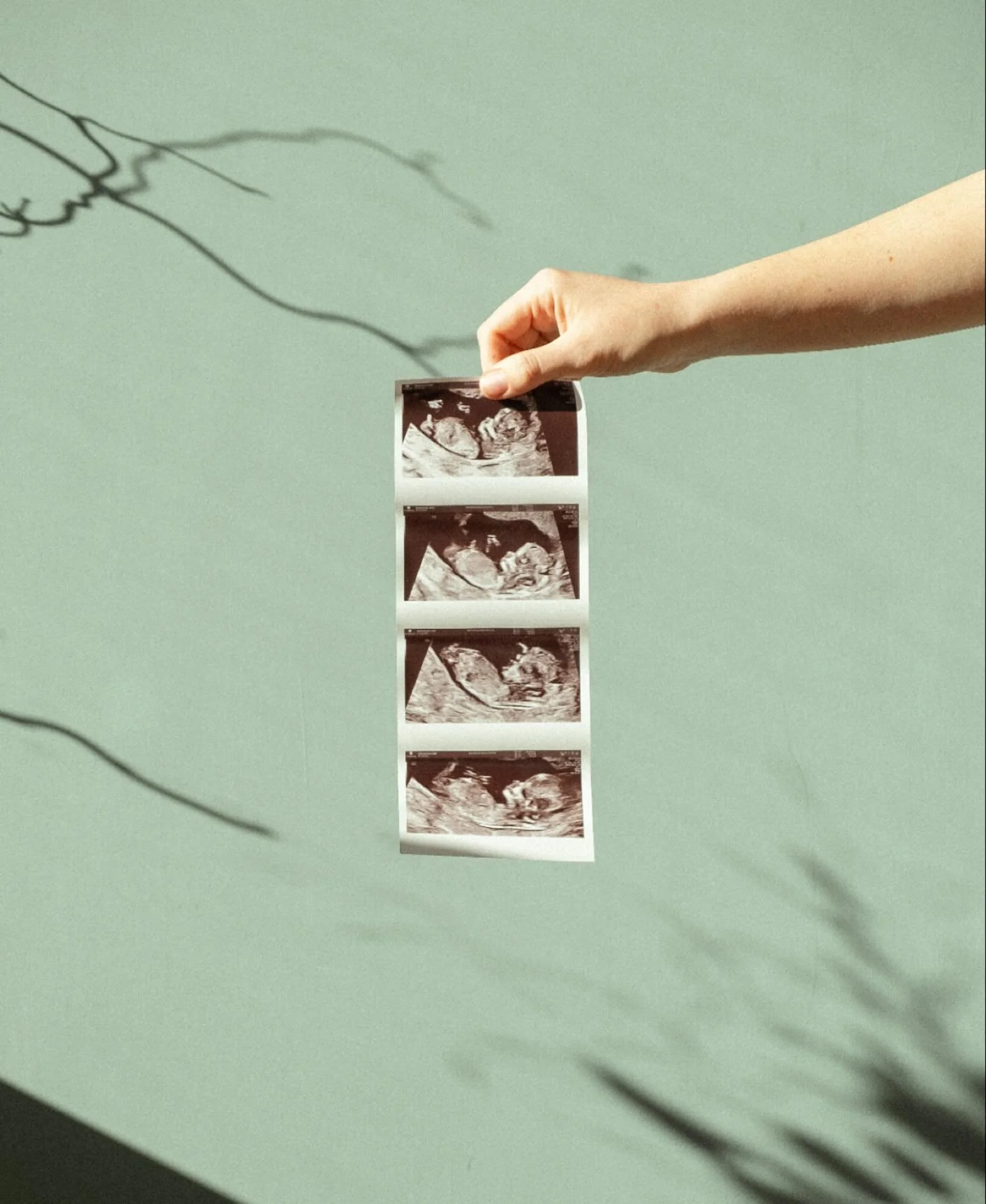 Holly Grows&hellip;. A baby! 👶🏻❤️ 

We are sooooo delighted to be expecting a spring baby next year!!! 🌸