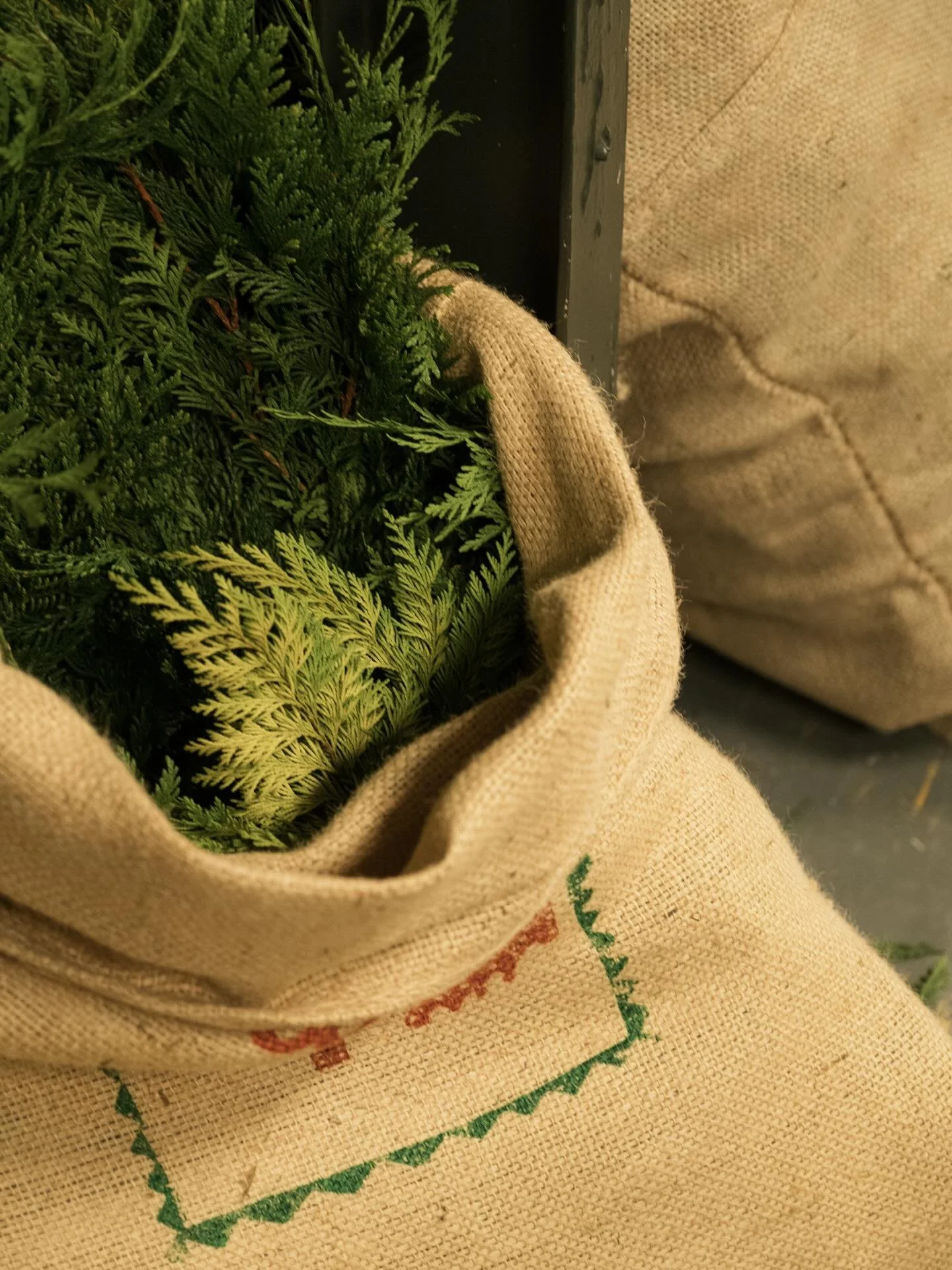 Magic festive details from the first Holly Grows workshop of the season this morning. Oh how I love workshops and wreath making! 

🎄❤️
