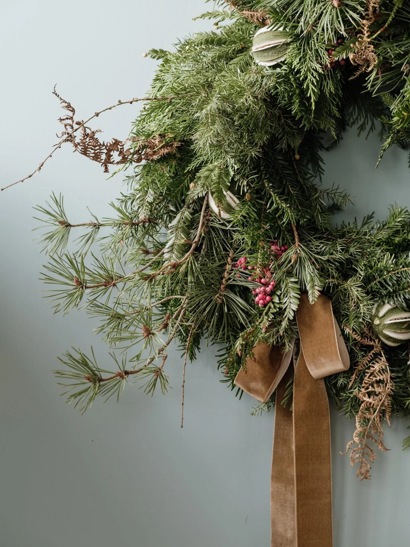 One of my favourites so far ✨

#christmaswreath #sustainablechristmas #velvetribbon #foragedfoliage #wildchristmas #festivewreath