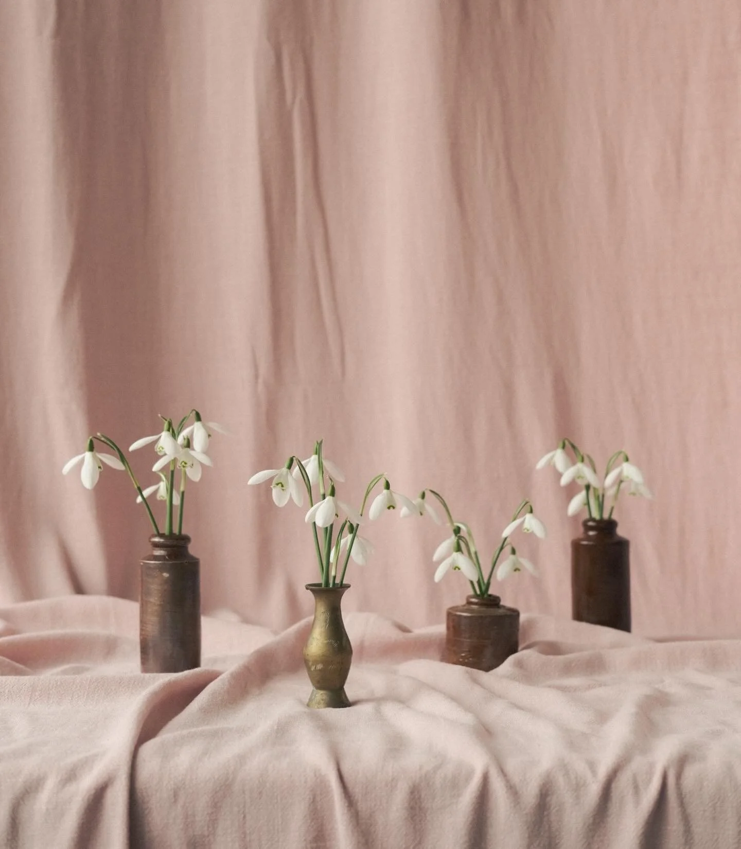 First garden pickings of the season 🤍